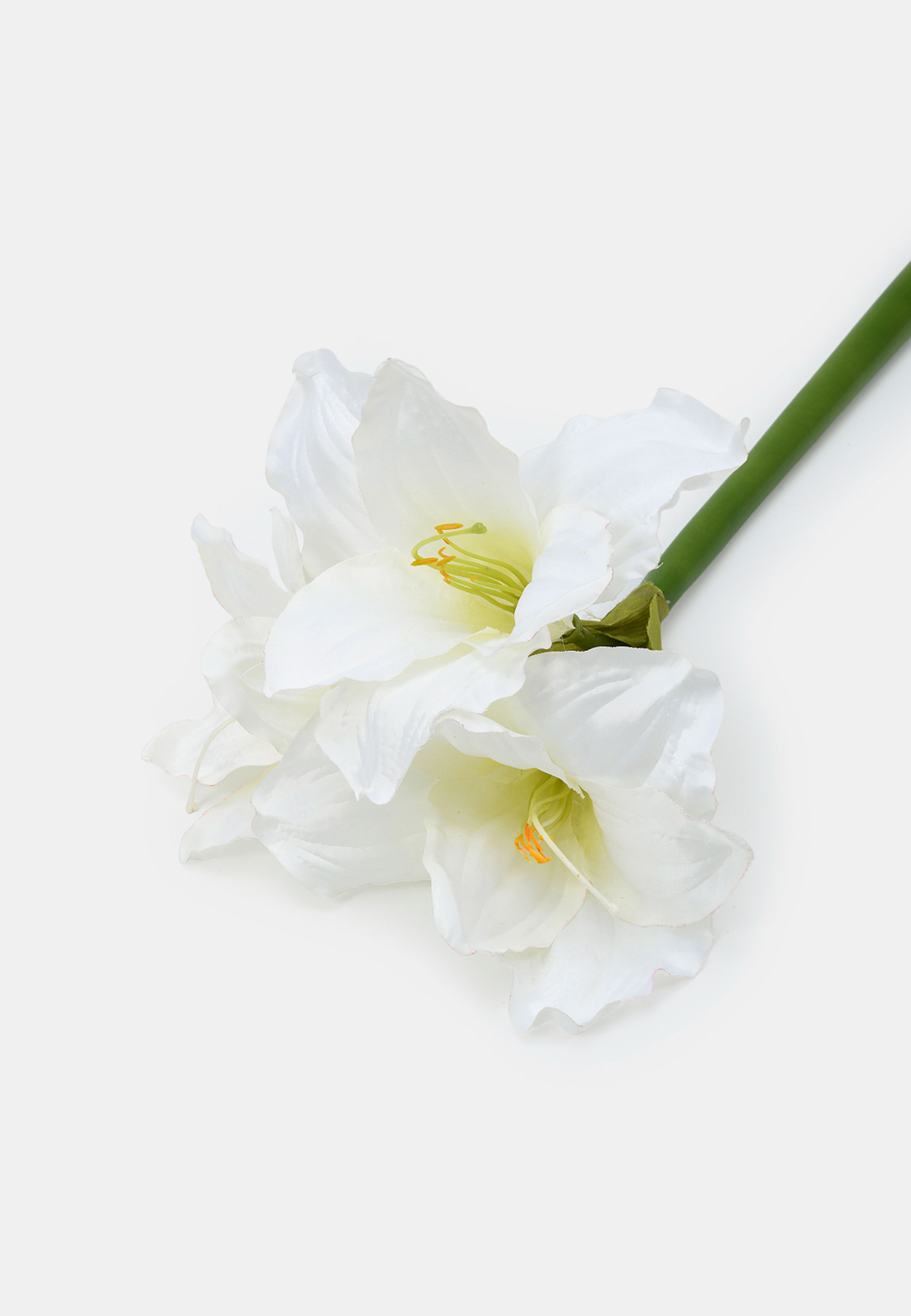 Konstväxt amaryllis, från Åhléns Home, i färgen White. Klicka för att öppna bilden i stort format