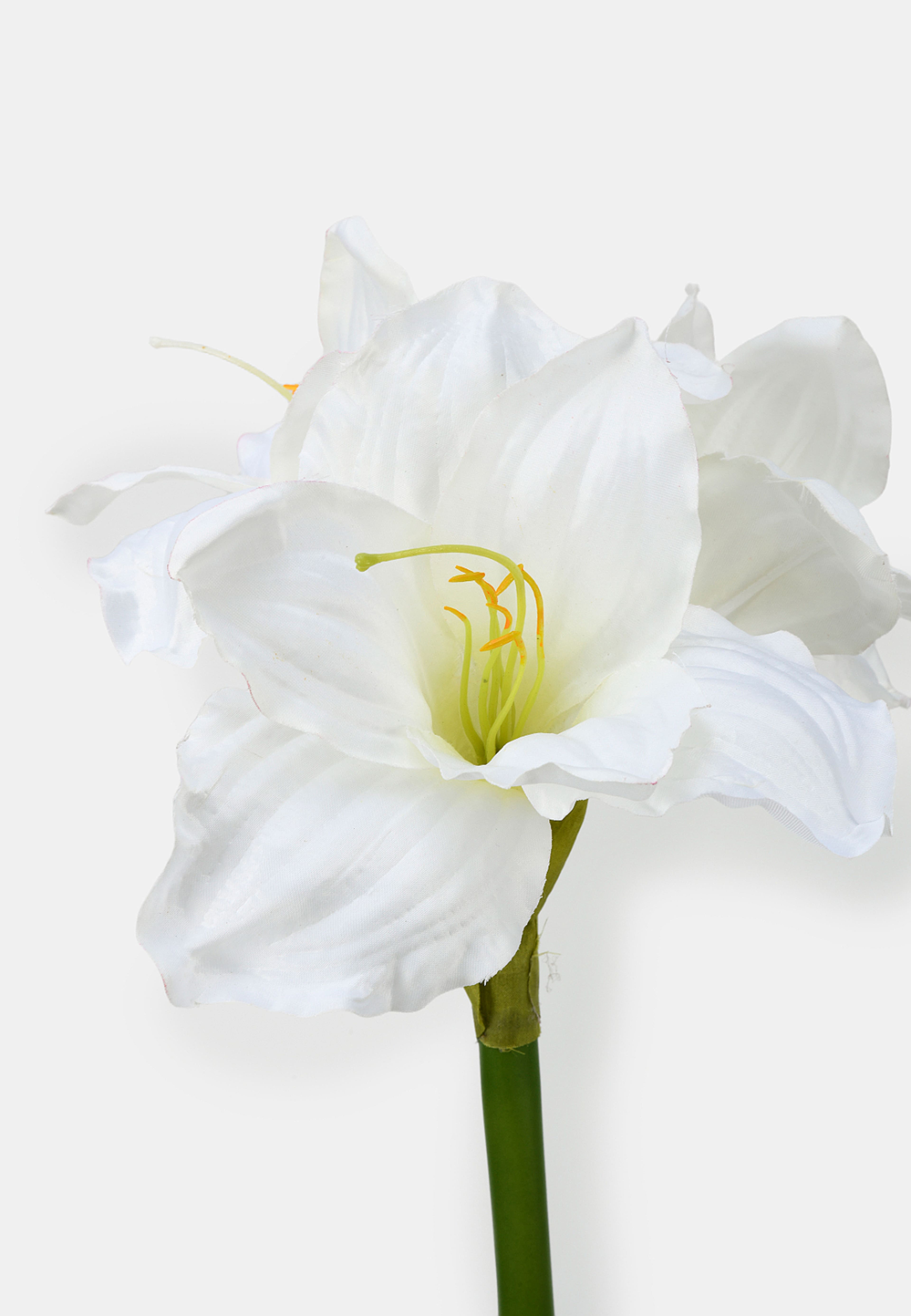 Konstväxt amaryllis, från Åhléns Home, i färgen White. Klicka för att öppna bilden i stort format