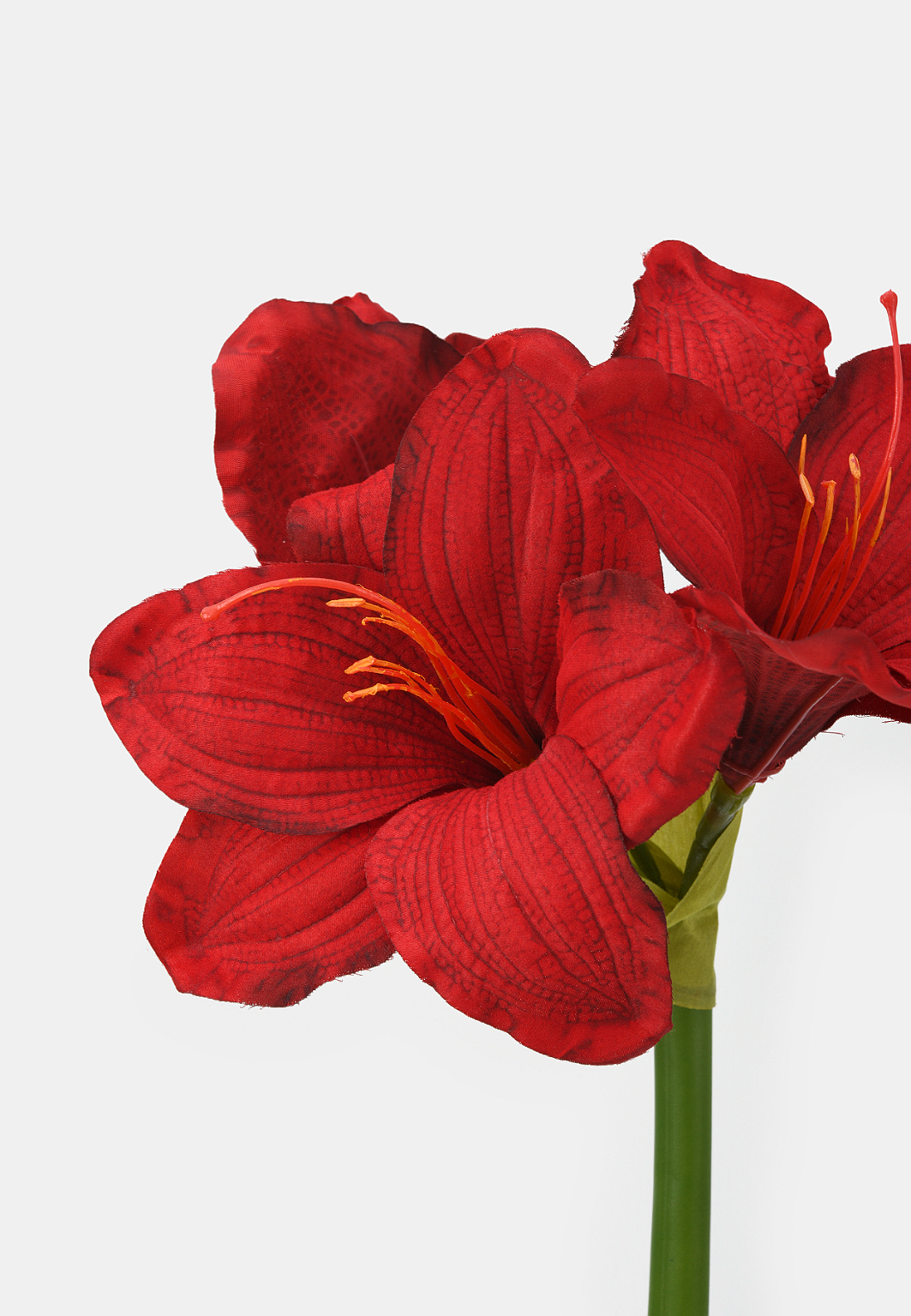 Konstväxt amaryllis, från Åhléns Home, i färgen Red. Klicka för att öppna bilden i stort format