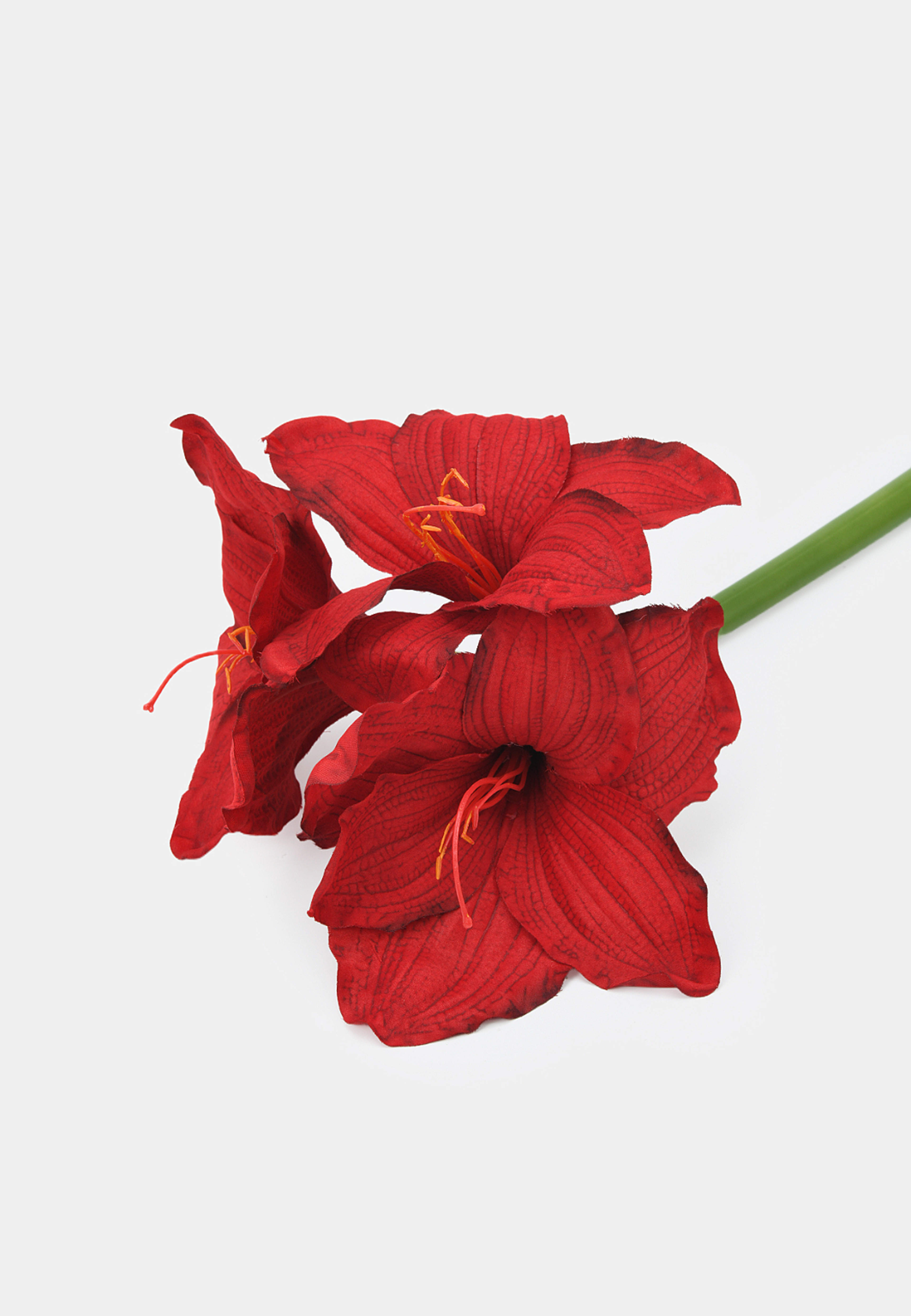 Konstväxt amaryllis, från Åhléns Home, i färgen Red. Klicka för att öppna bilden i stort format