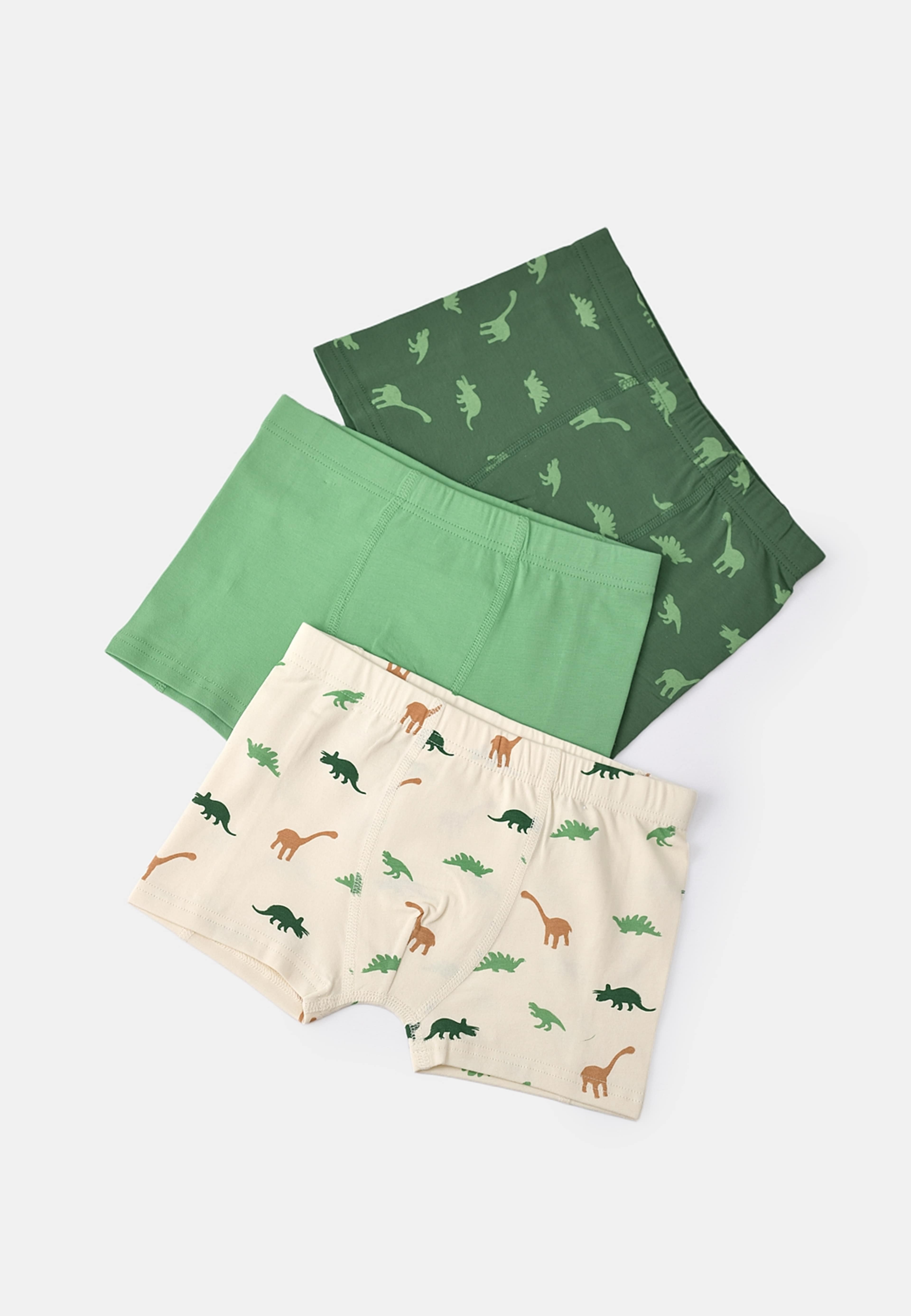 Boxershorts med tryck FREDDY, 3-pack, från Åhléns, i färgen Dino / Green.