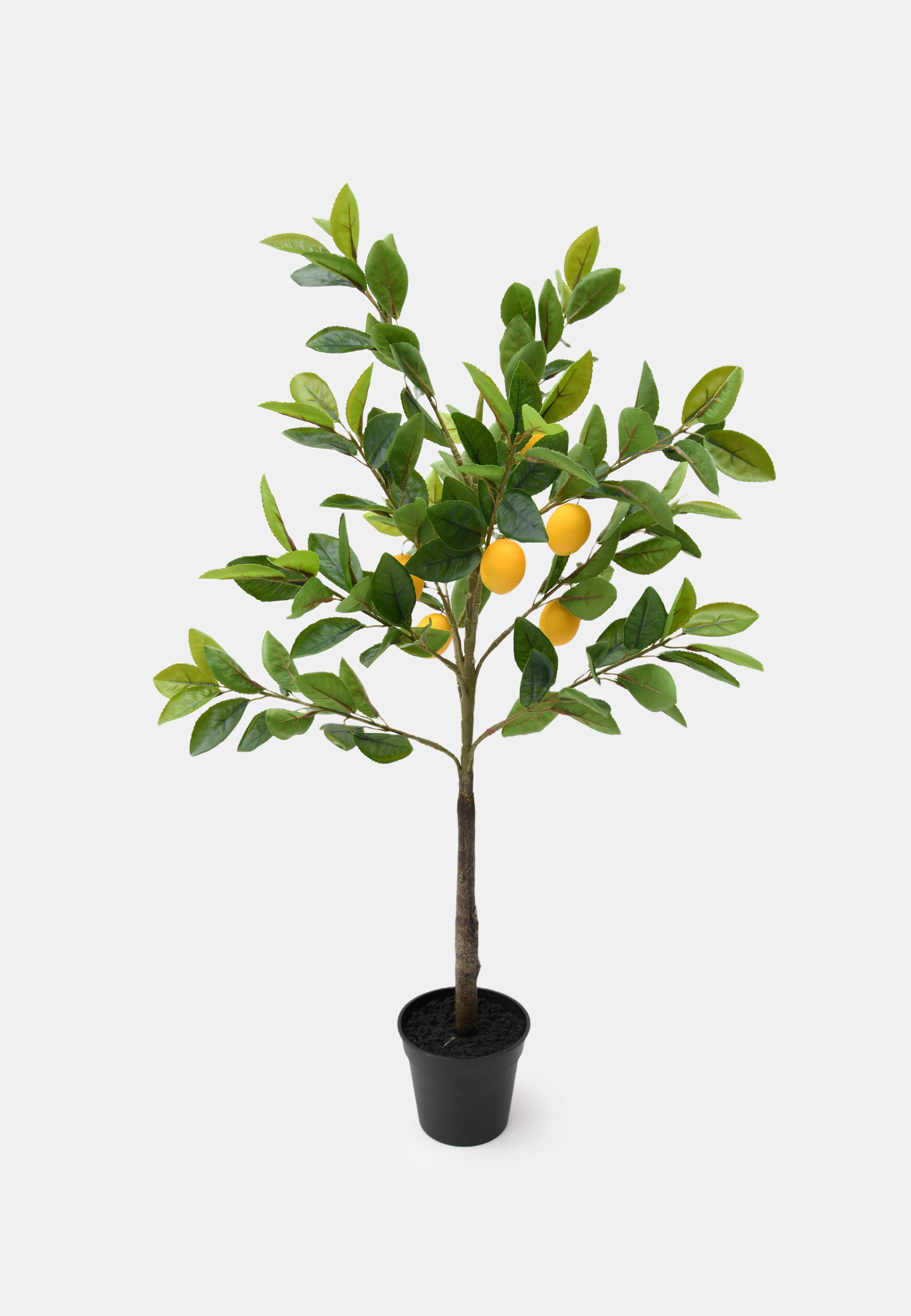 Konstväxt citronträd i kruka, från Åhléns Home, i färgen Green. Klicka för att öppna bilden i stort format