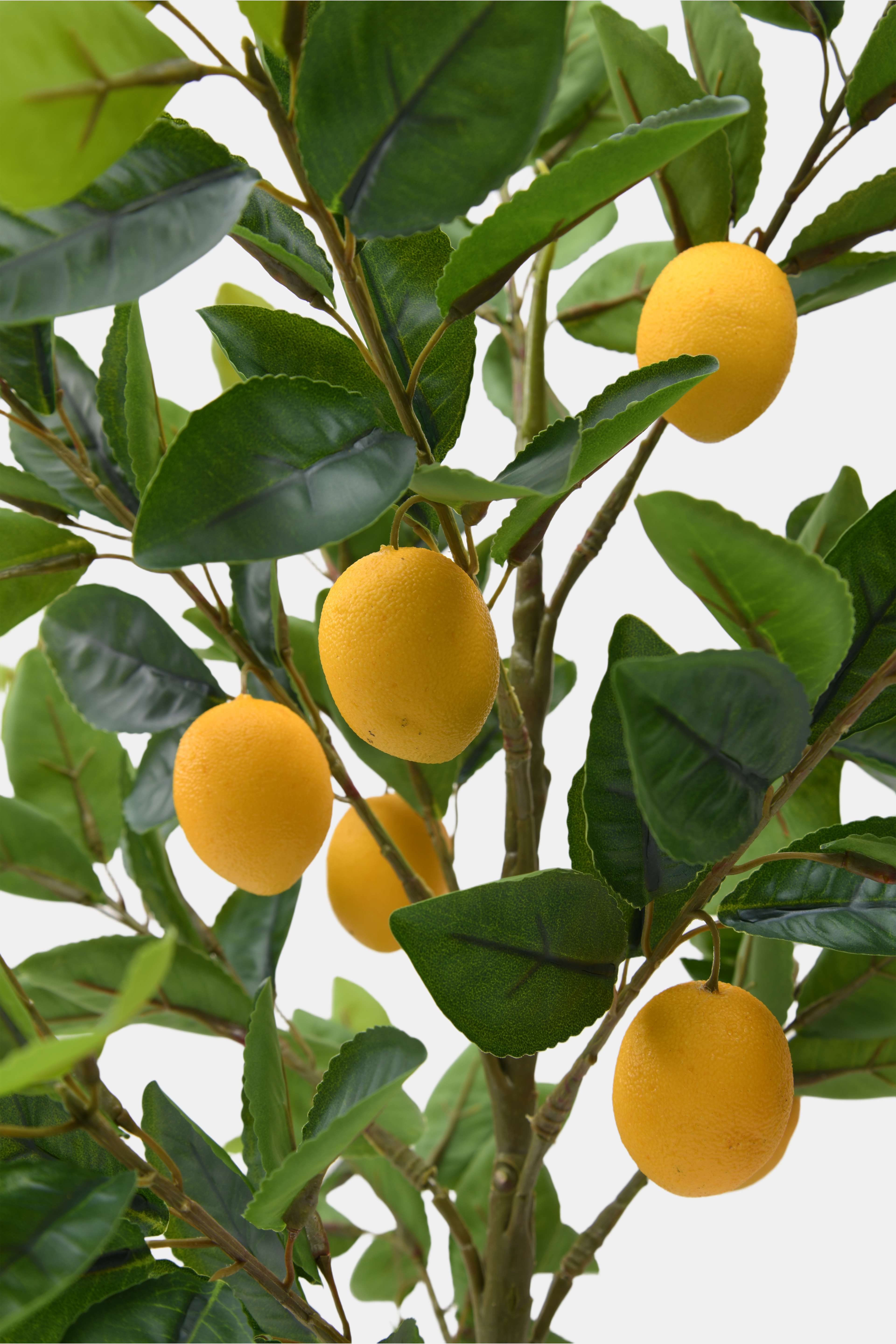 Konstväxt citronträd i kruka, från Åhléns Home, i färgen Green. Klicka för att öppna bilden i stort format