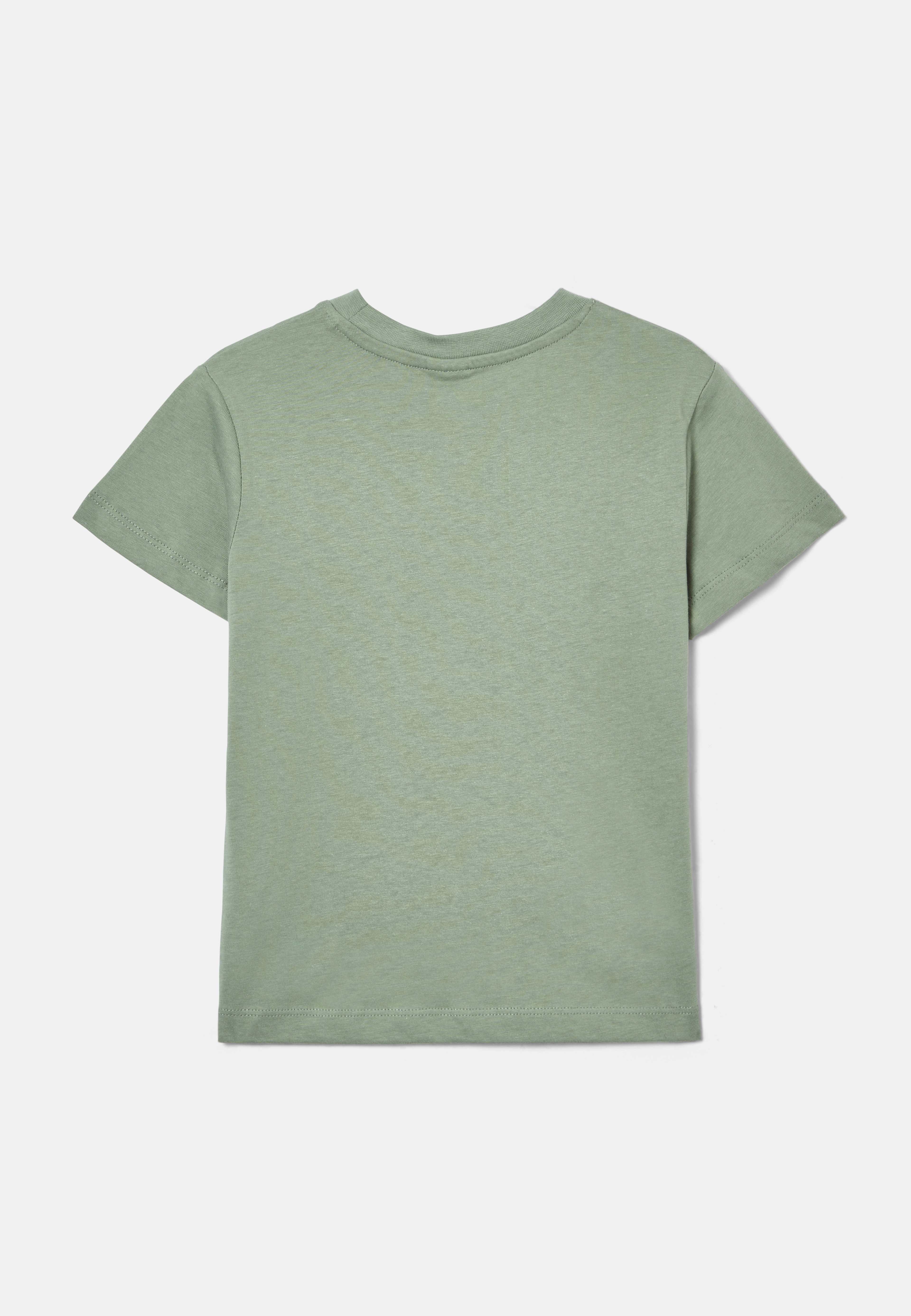 Enfärgad t-shirt ENVY, från RIKIKI, i färgen Green. Klicka för att öppna bilden i stort format