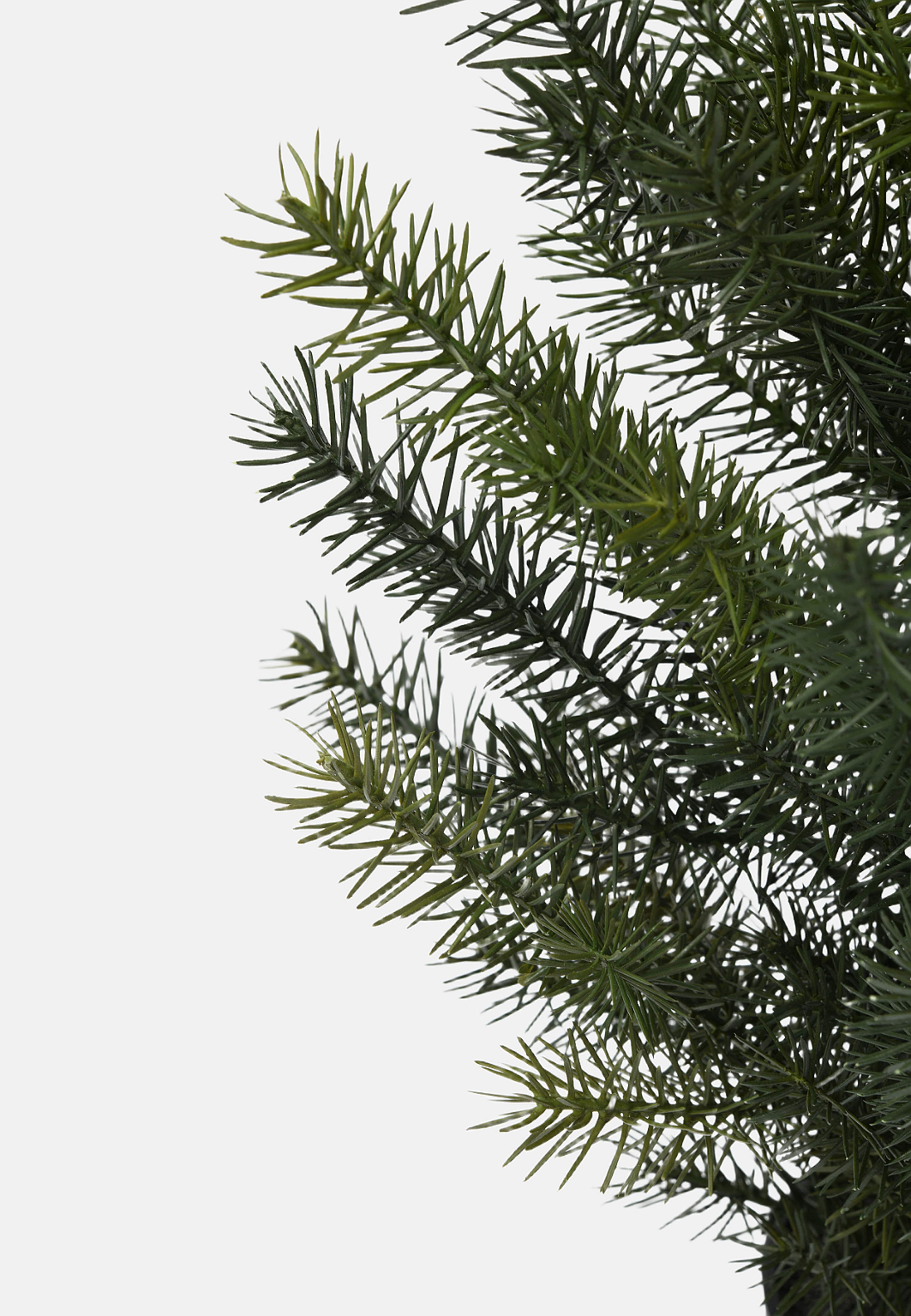 Konstväxt i kruka rumsgran, från Åhléns Home, i färgen Green. Klicka för att öppna bilden i stort format
