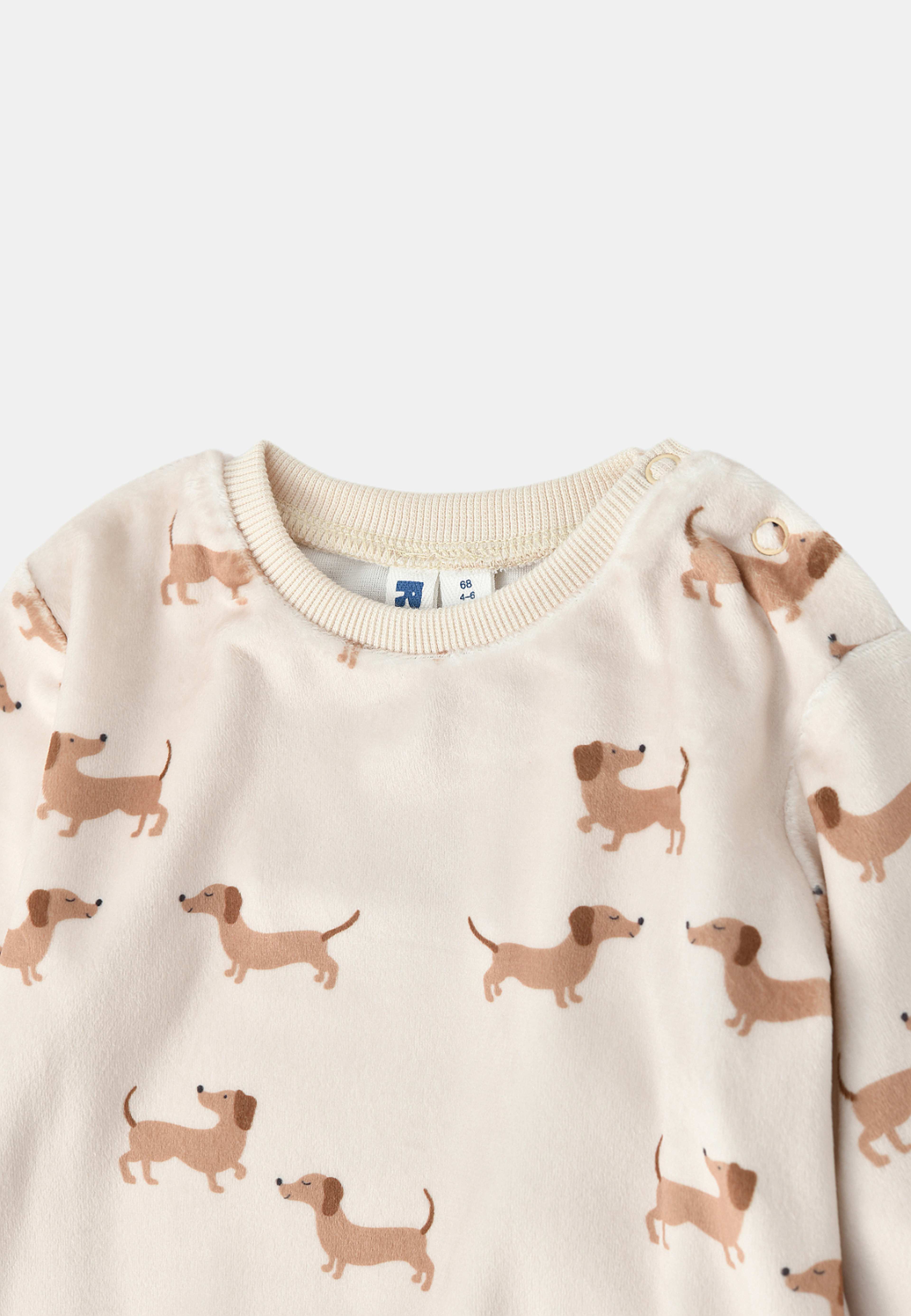 Velourset FRANK, från RIKIKI, i färgen Dog. Klicka för att öppna bilden i stort format