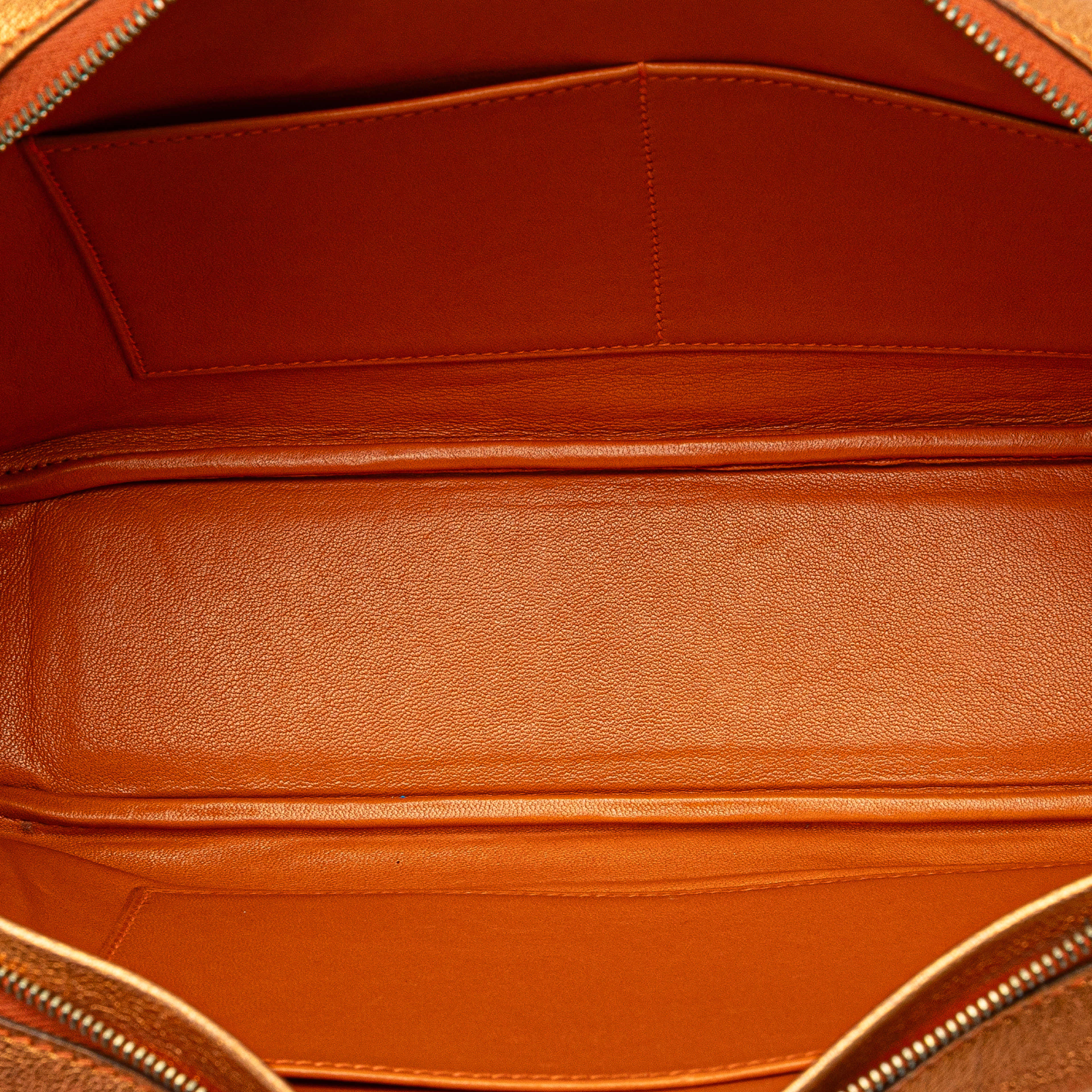 Hermès Metallic Chevre Coromandel Plume Elan 28