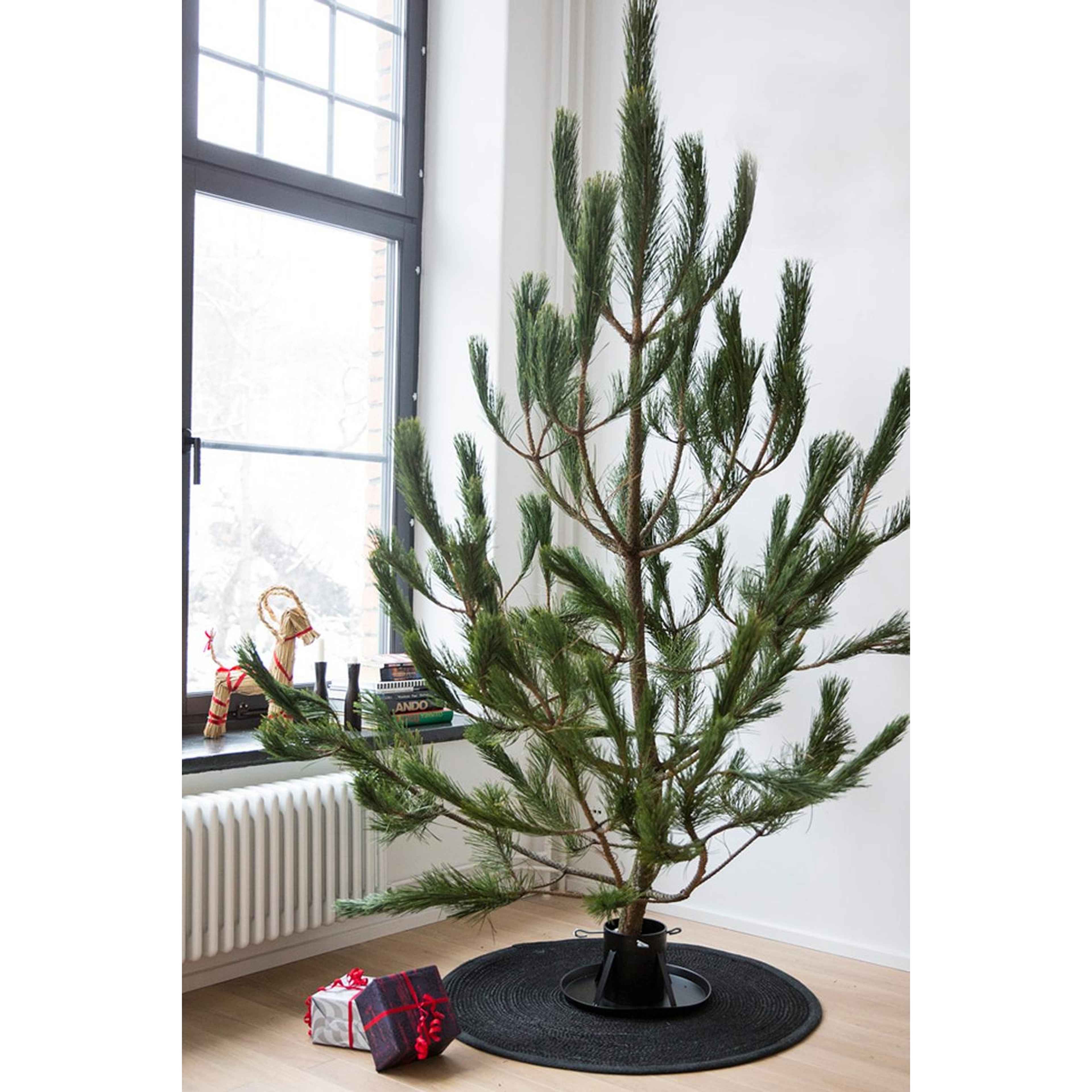 Julgransfot Stand Deluxe, från by Benson, i färgen svart. Klicka för att öppna bilden i stort format