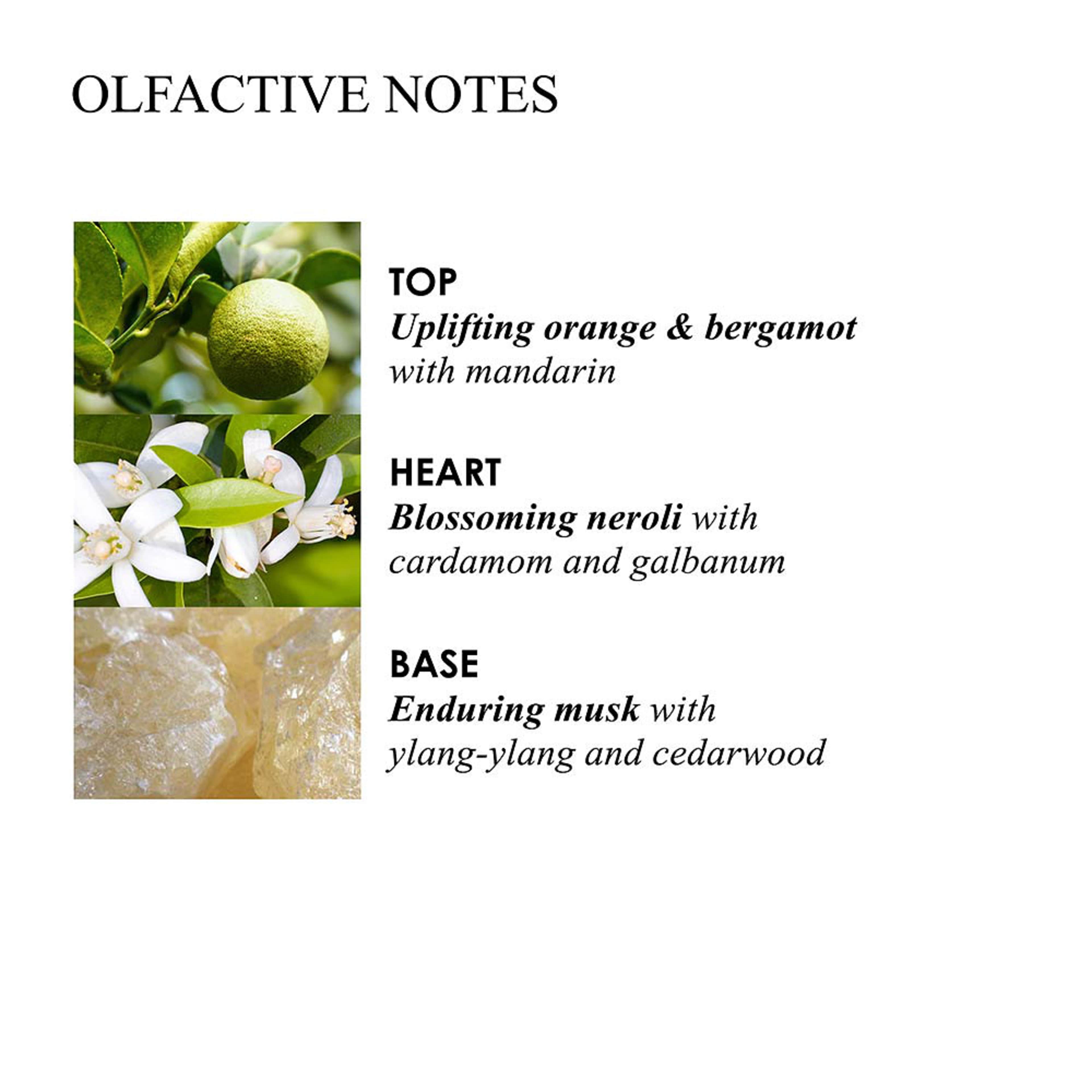Orange & Bergamot Hand Gift Set