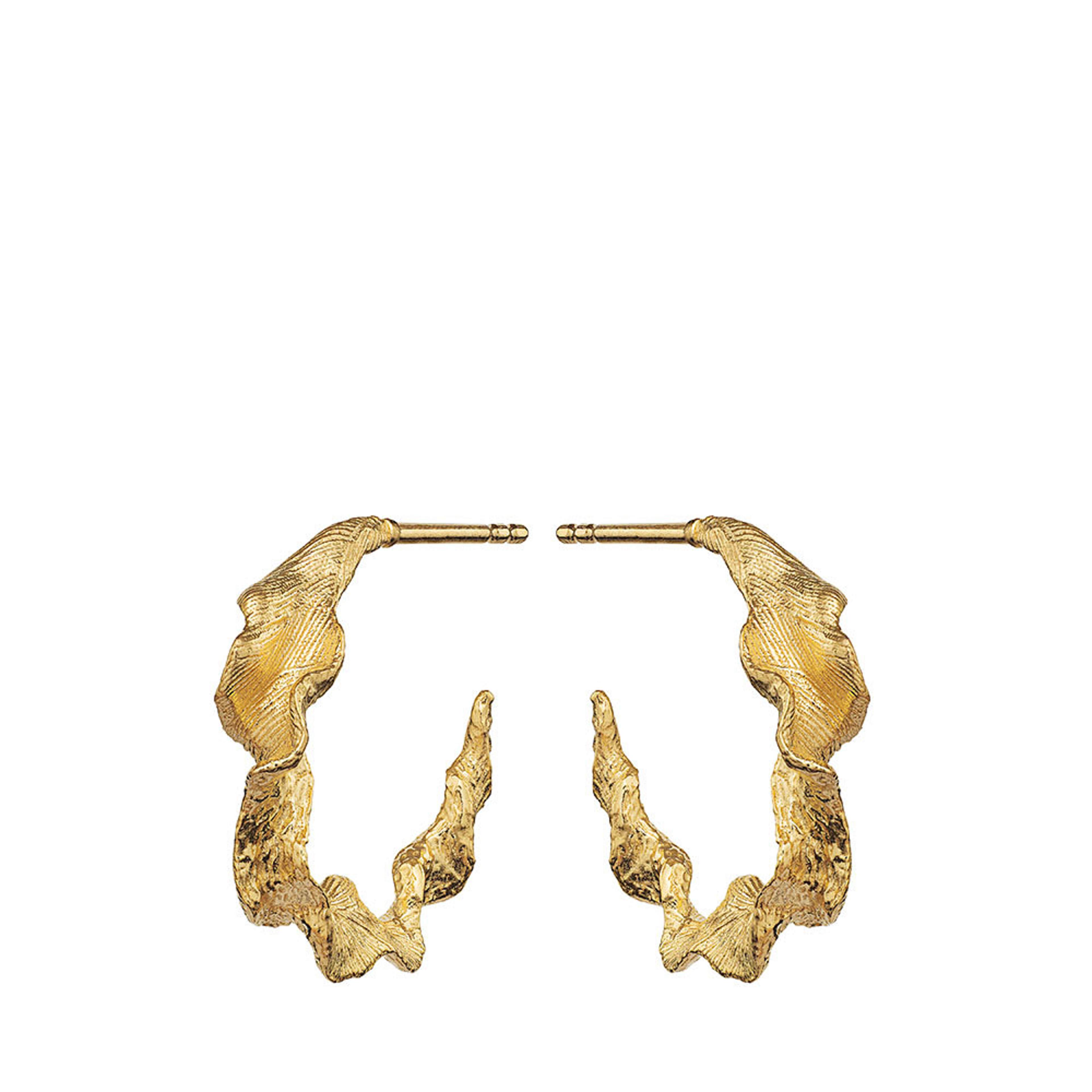 Nino Earring