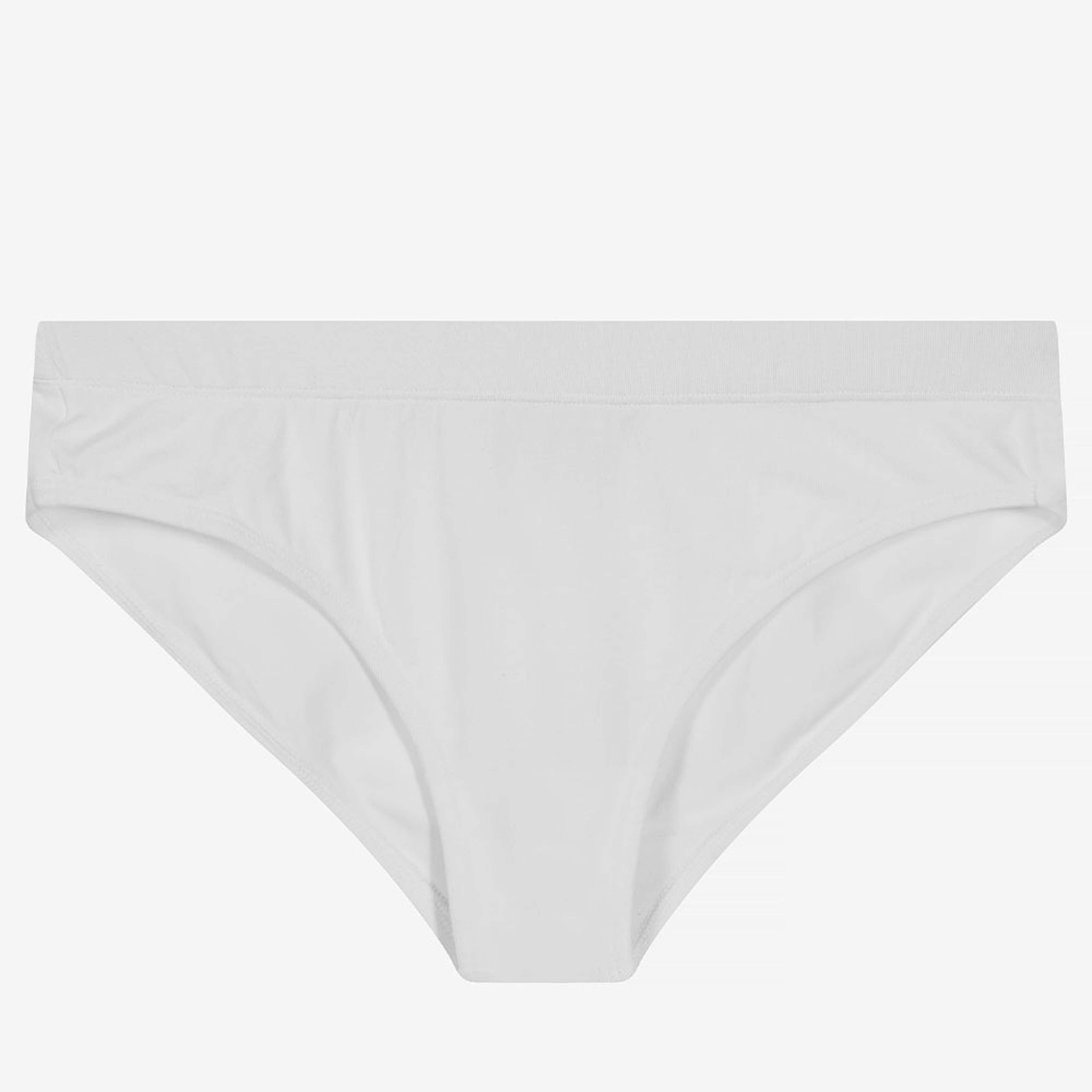 Brief