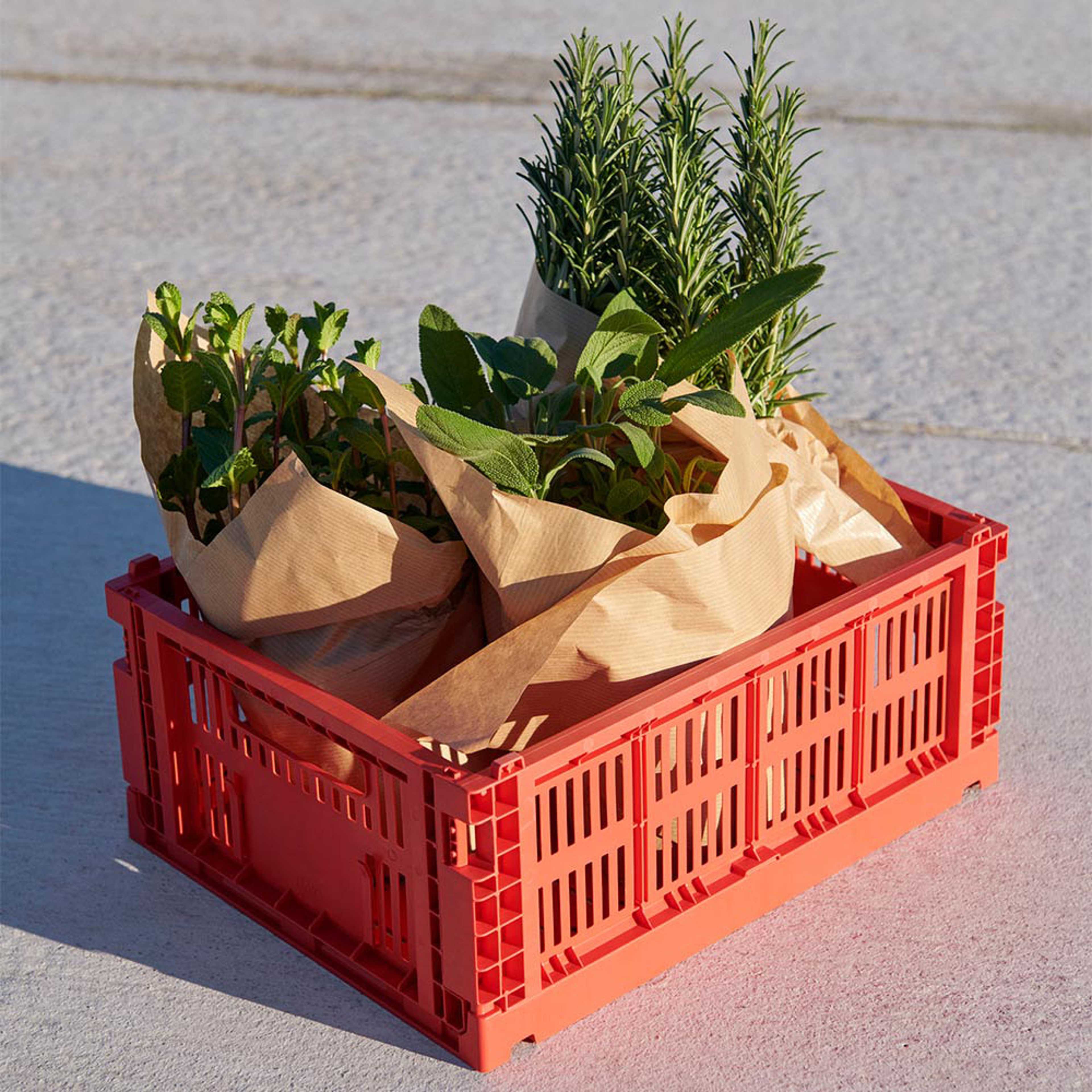 Colour Crate Medium