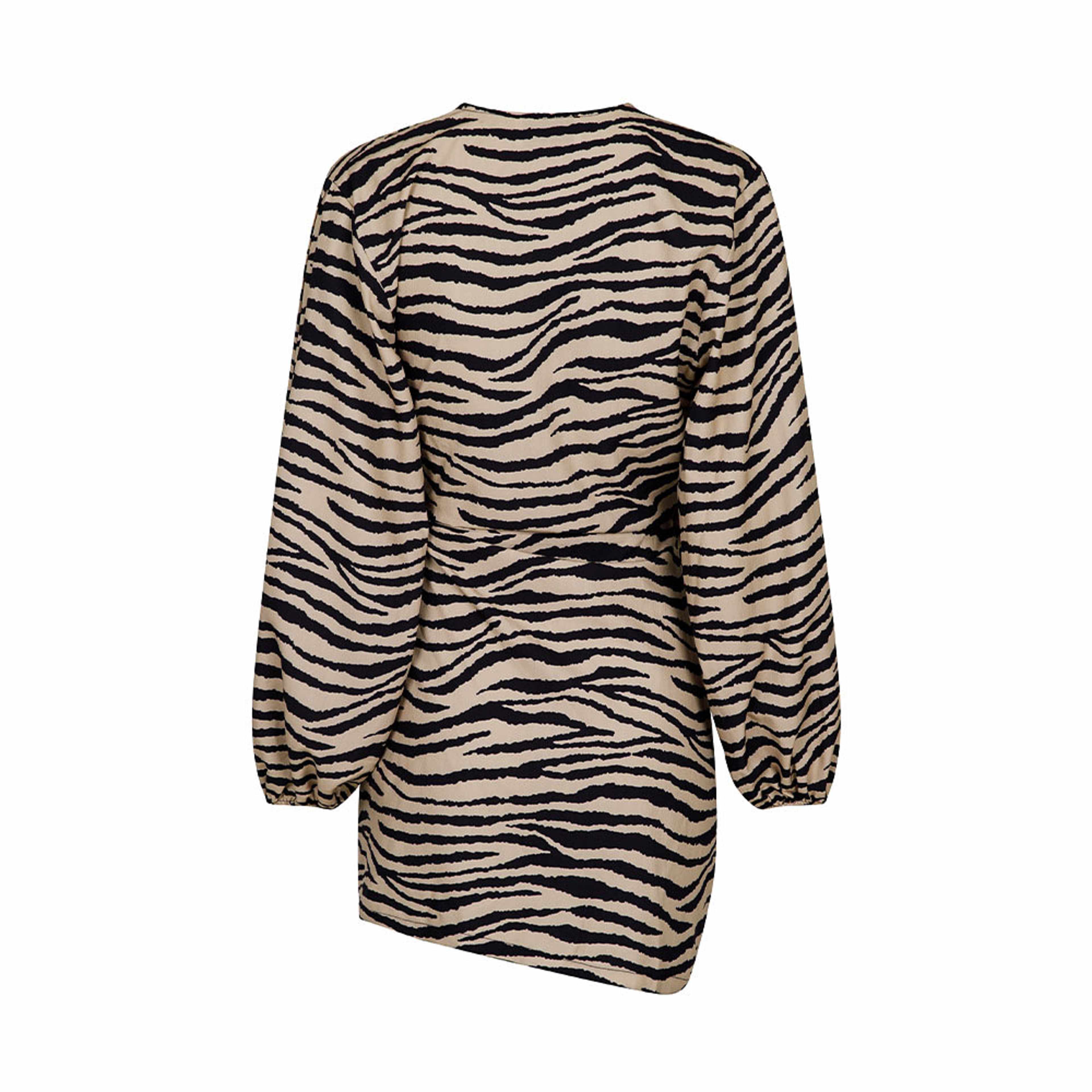 Graphic Zebra Dress