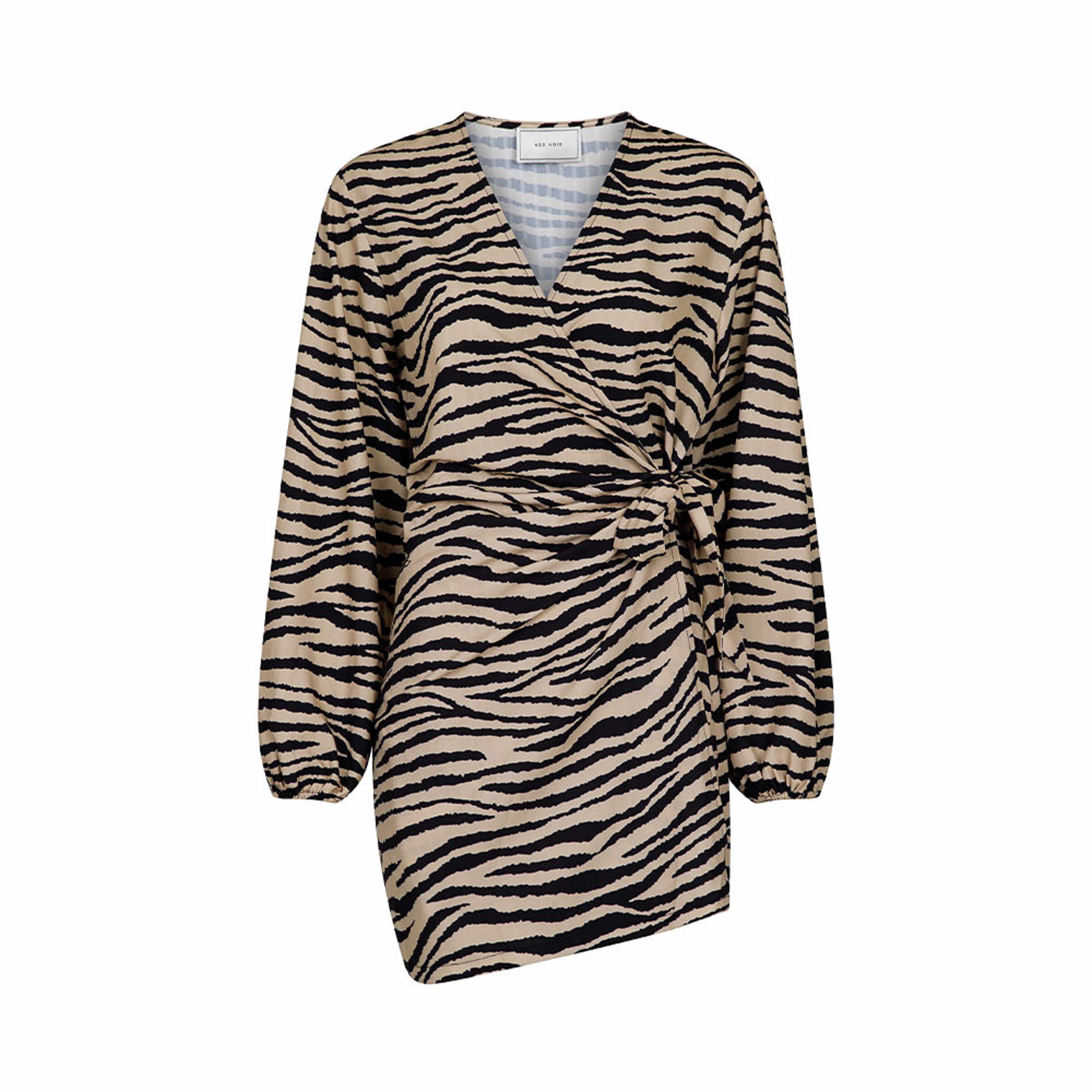 Graphic Zebra Dress