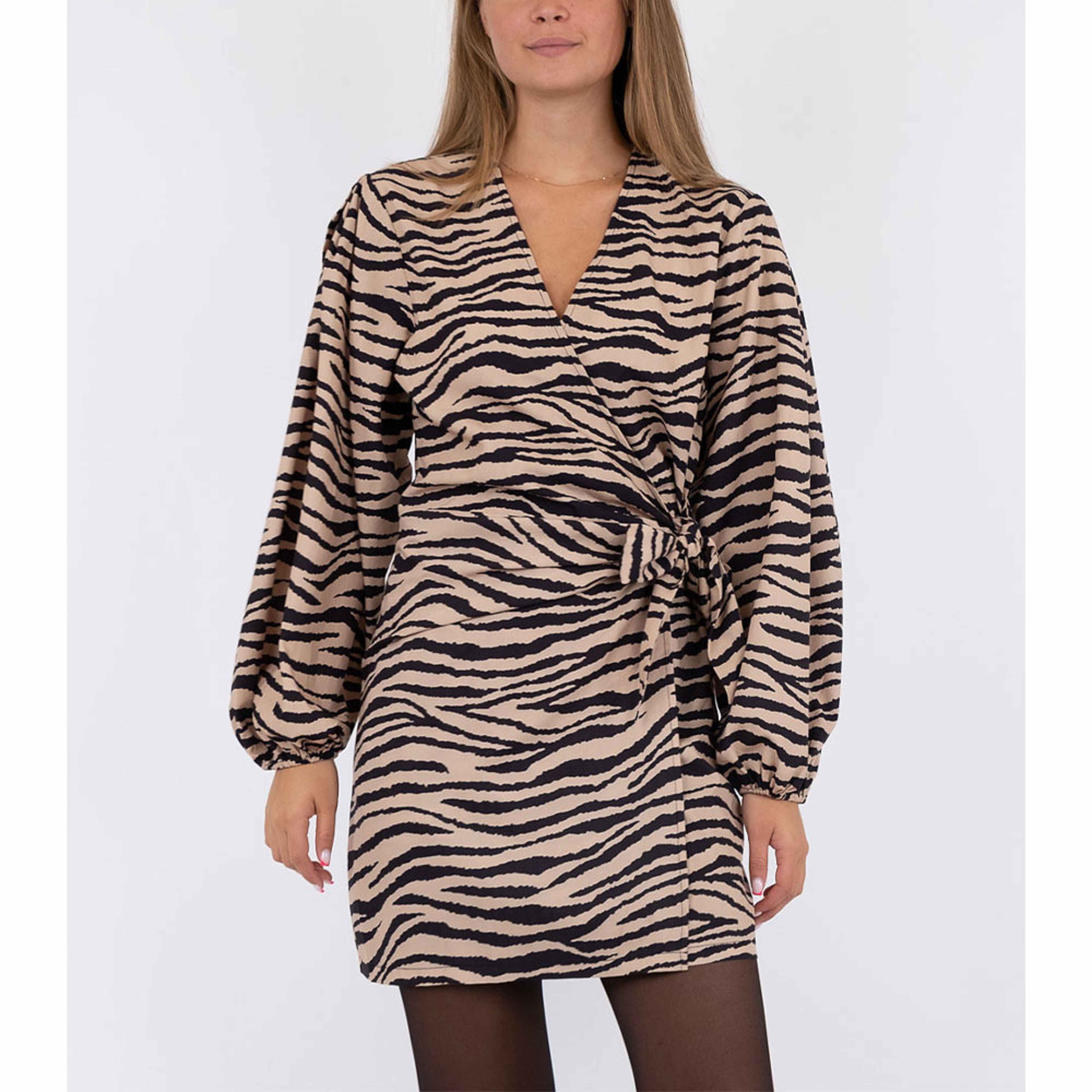 Graphic Zebra Dress