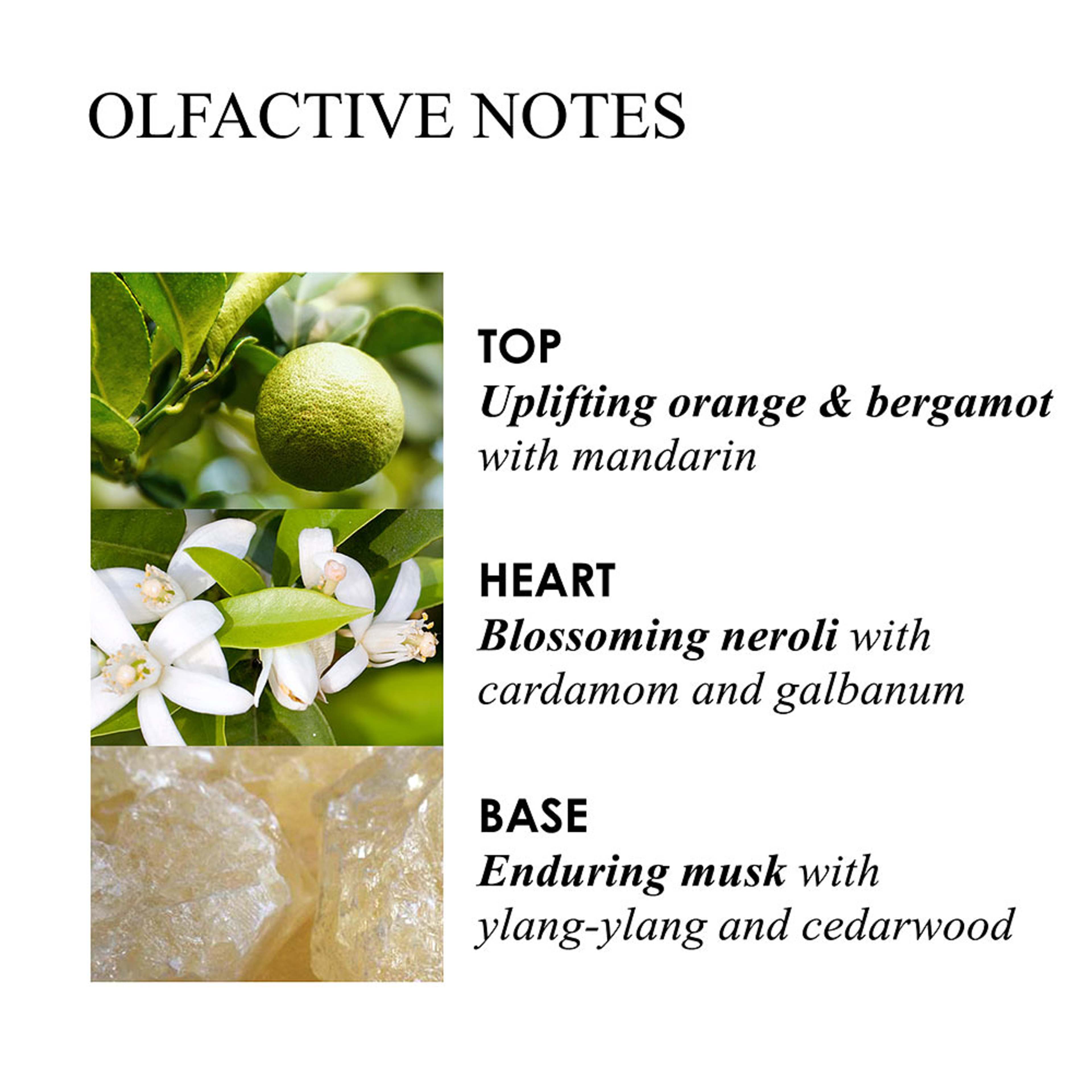 Orange & Bergamot Aroma Reeds Refill