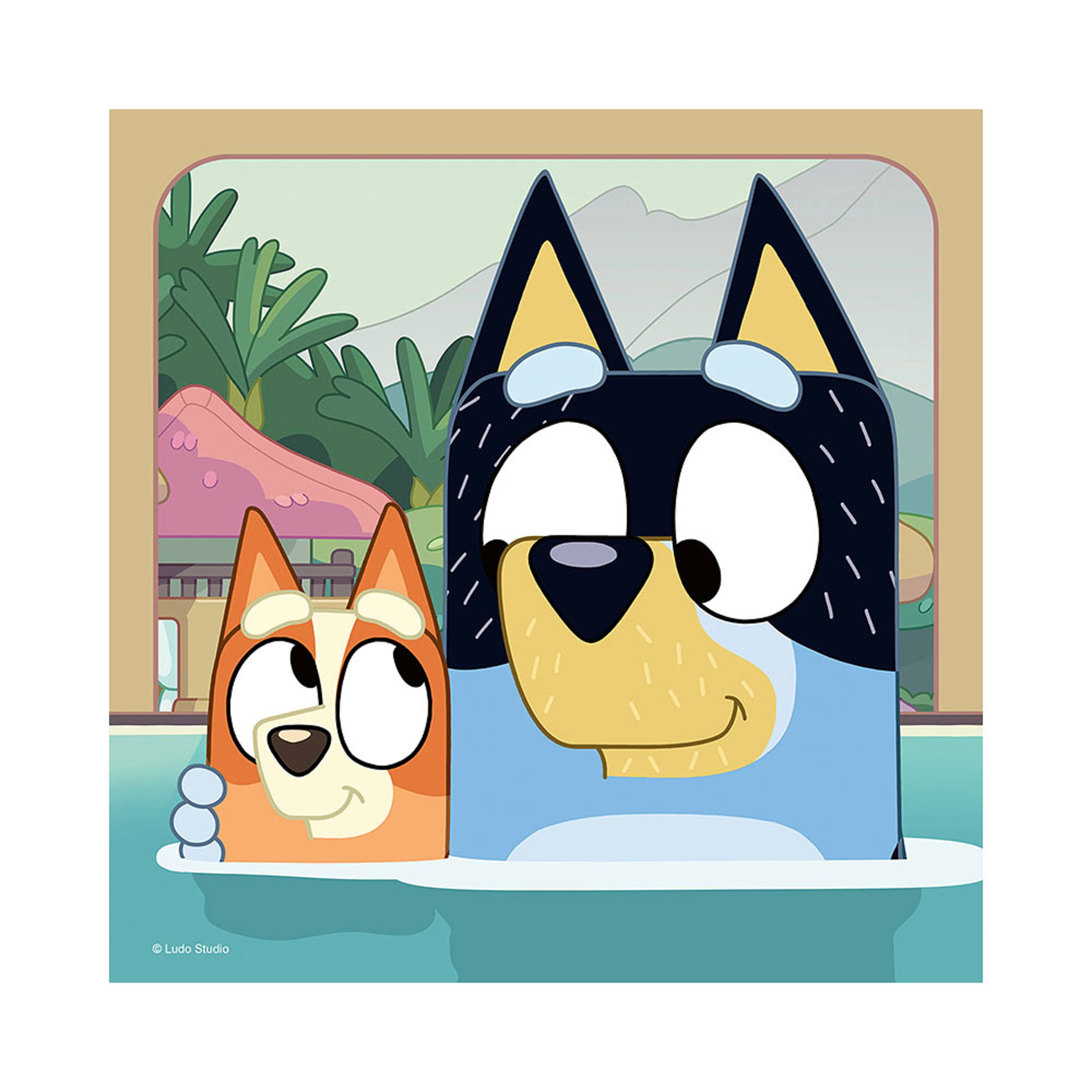 Bluey 3x49p