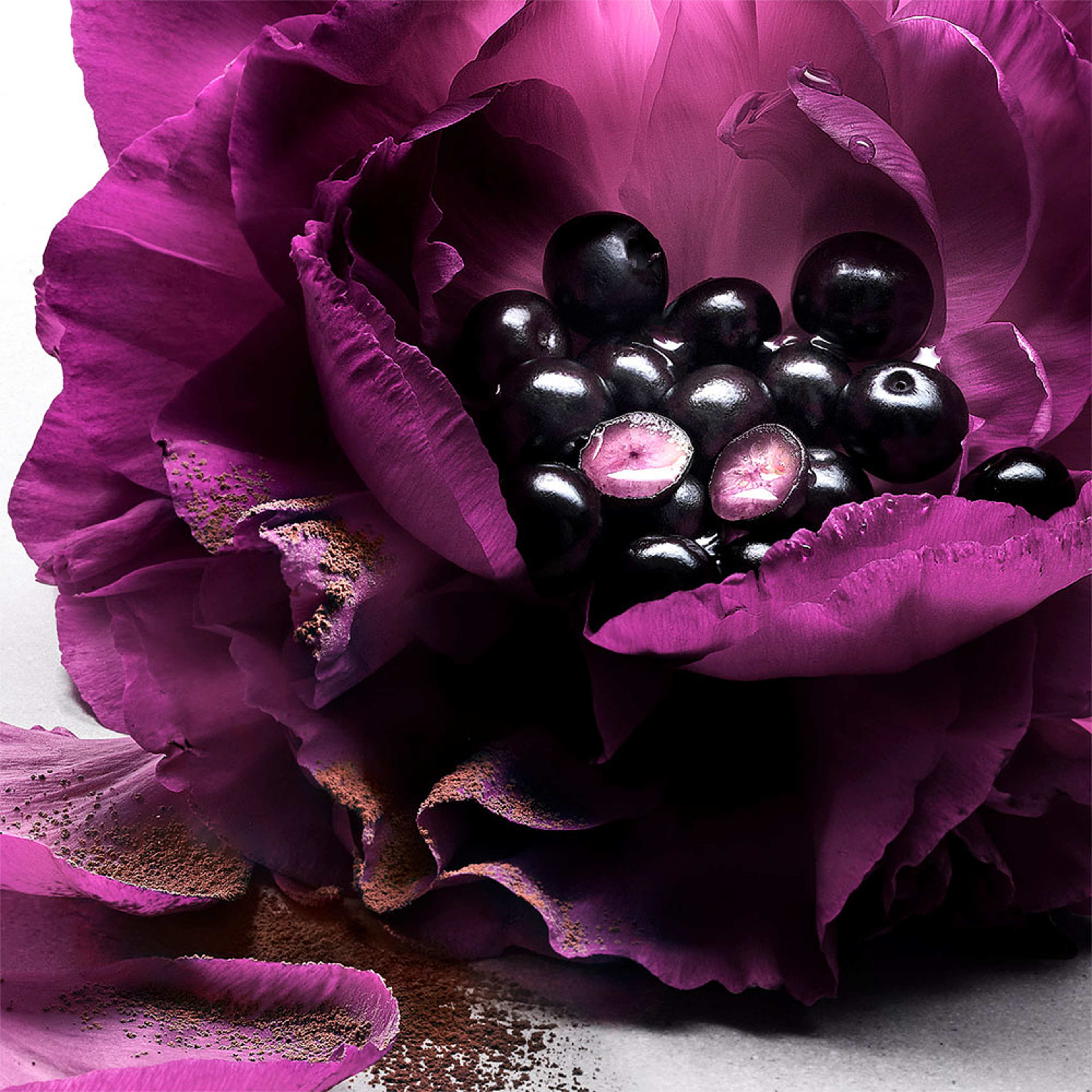 La Nuit Trésor Le Parfum