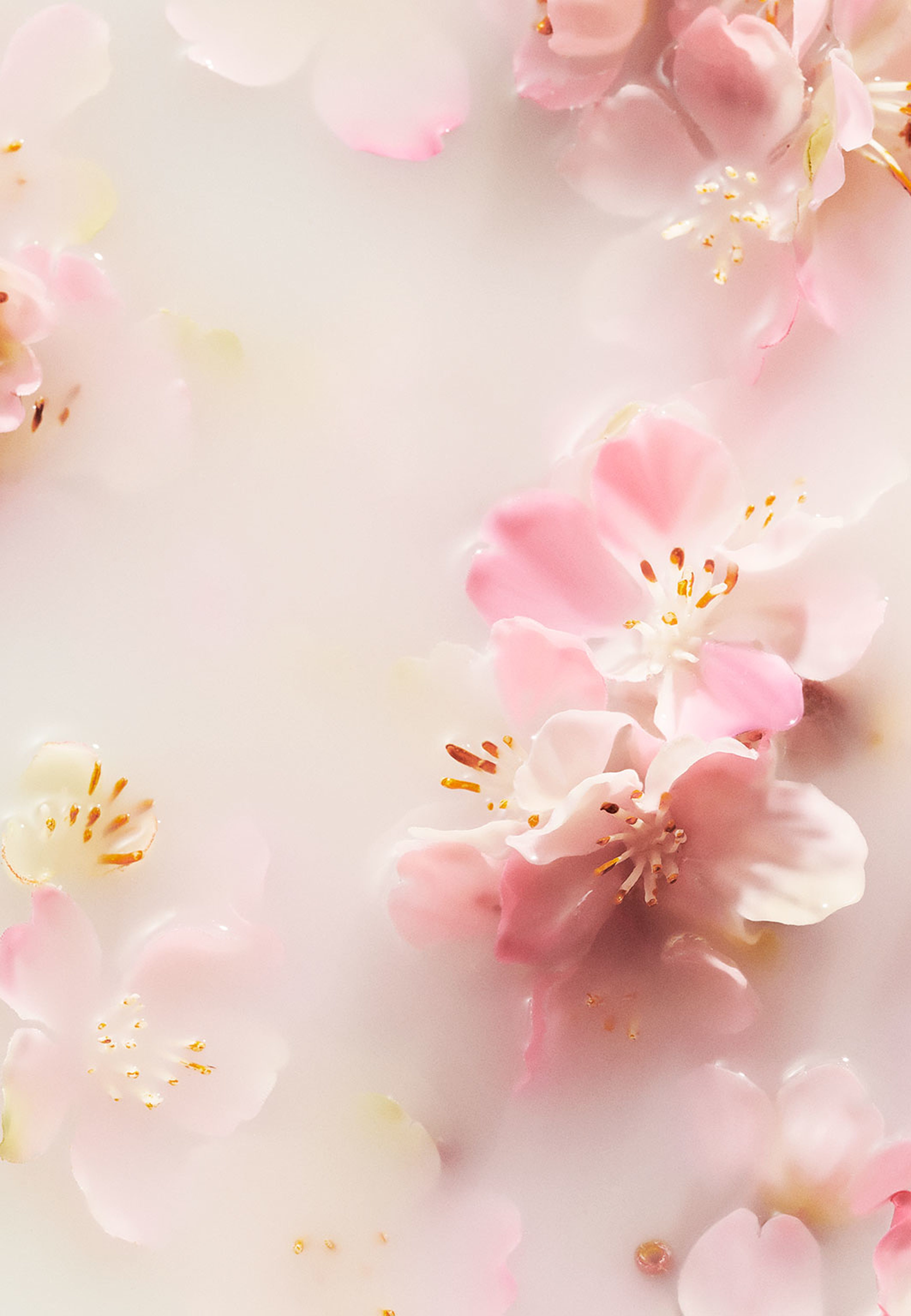 The Ritual of Sakura Anti-Perspirant Spray 50ml