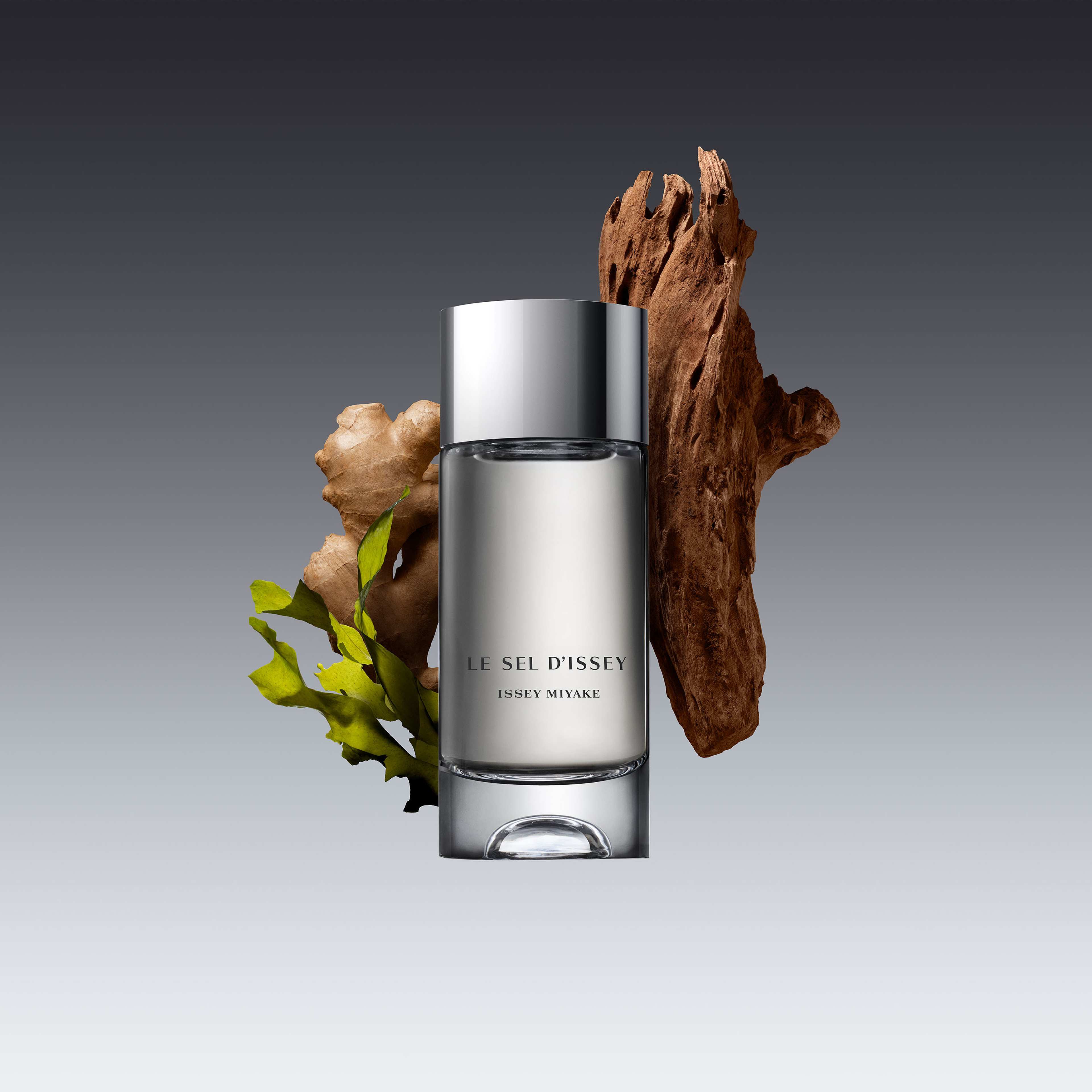 Le Sel d'Issey EdT