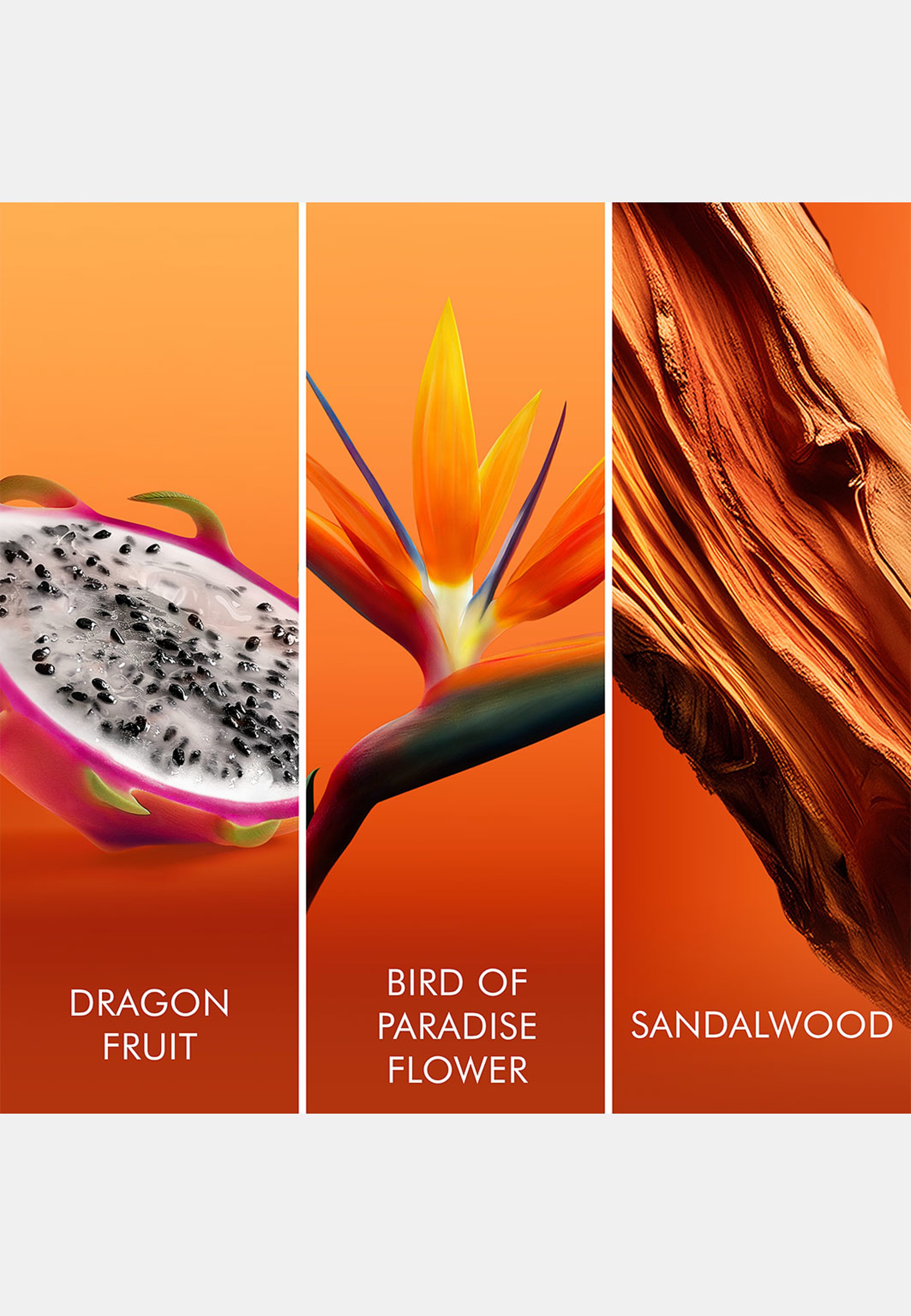 Bali Paradise Eau De Toilette