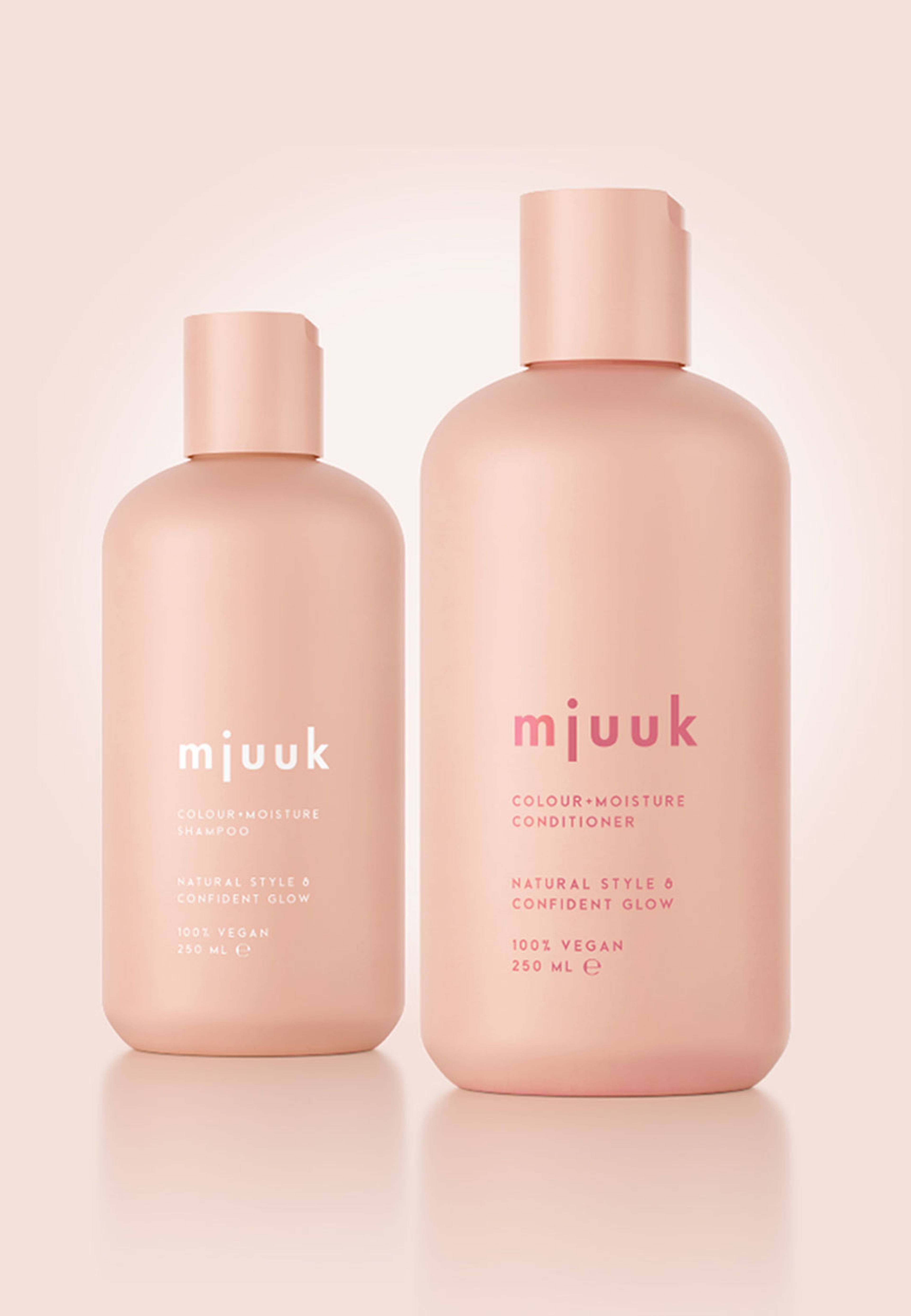 Colour + Moisture Conditioner
