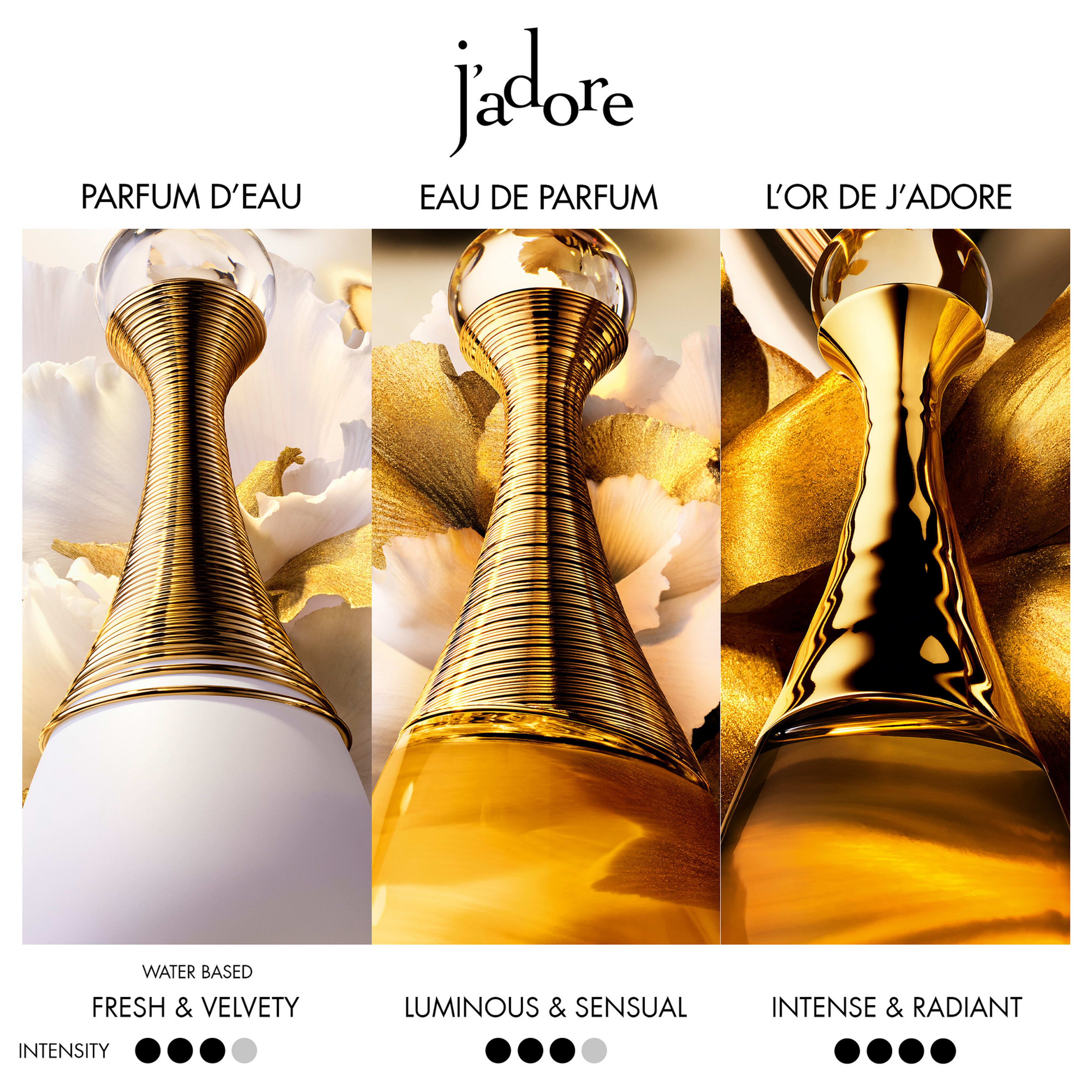 J’adore Eau de Parfum Women’s Fragrance - Solar and Floral Notes