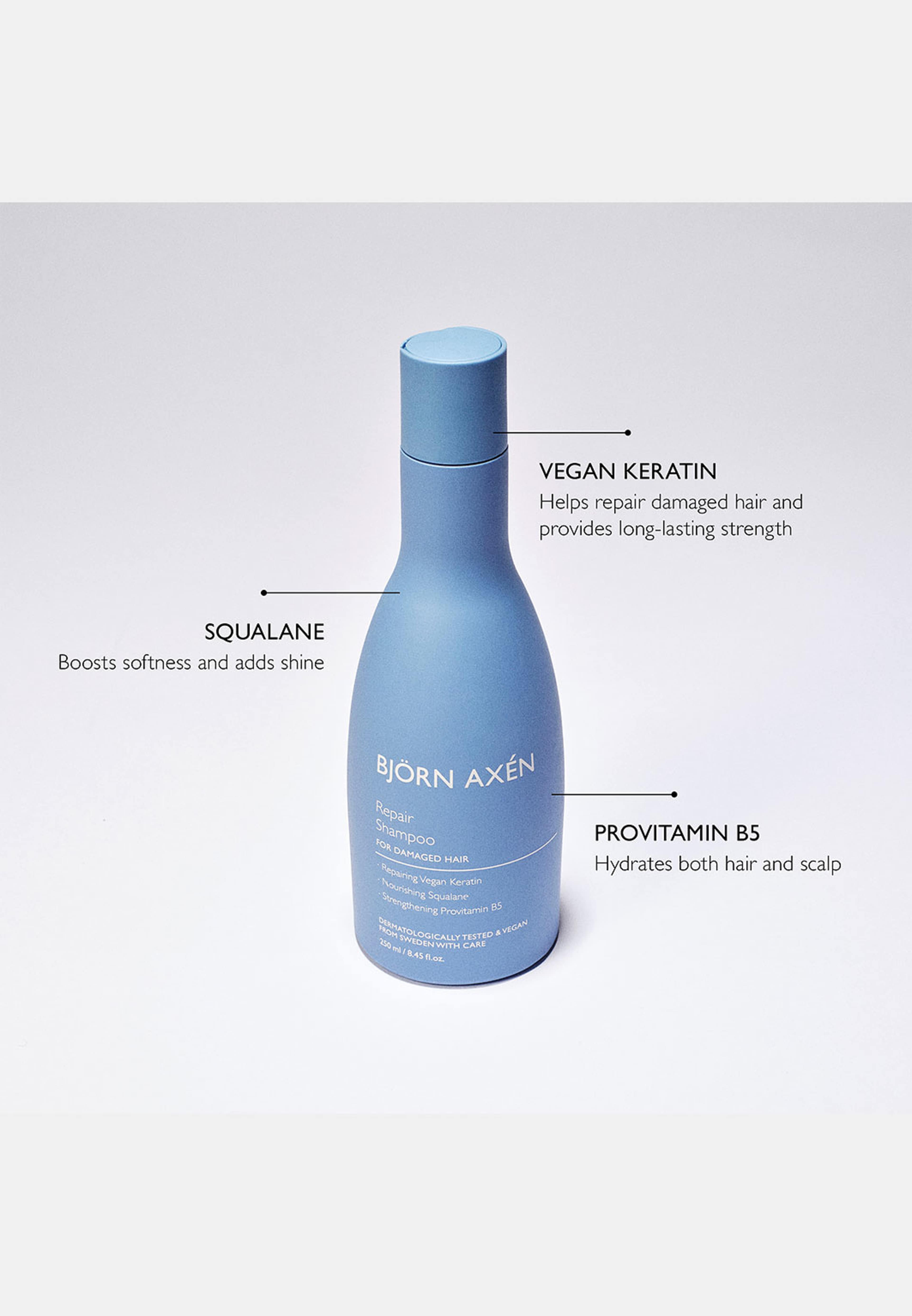 Björn Axén Repair Shampoo