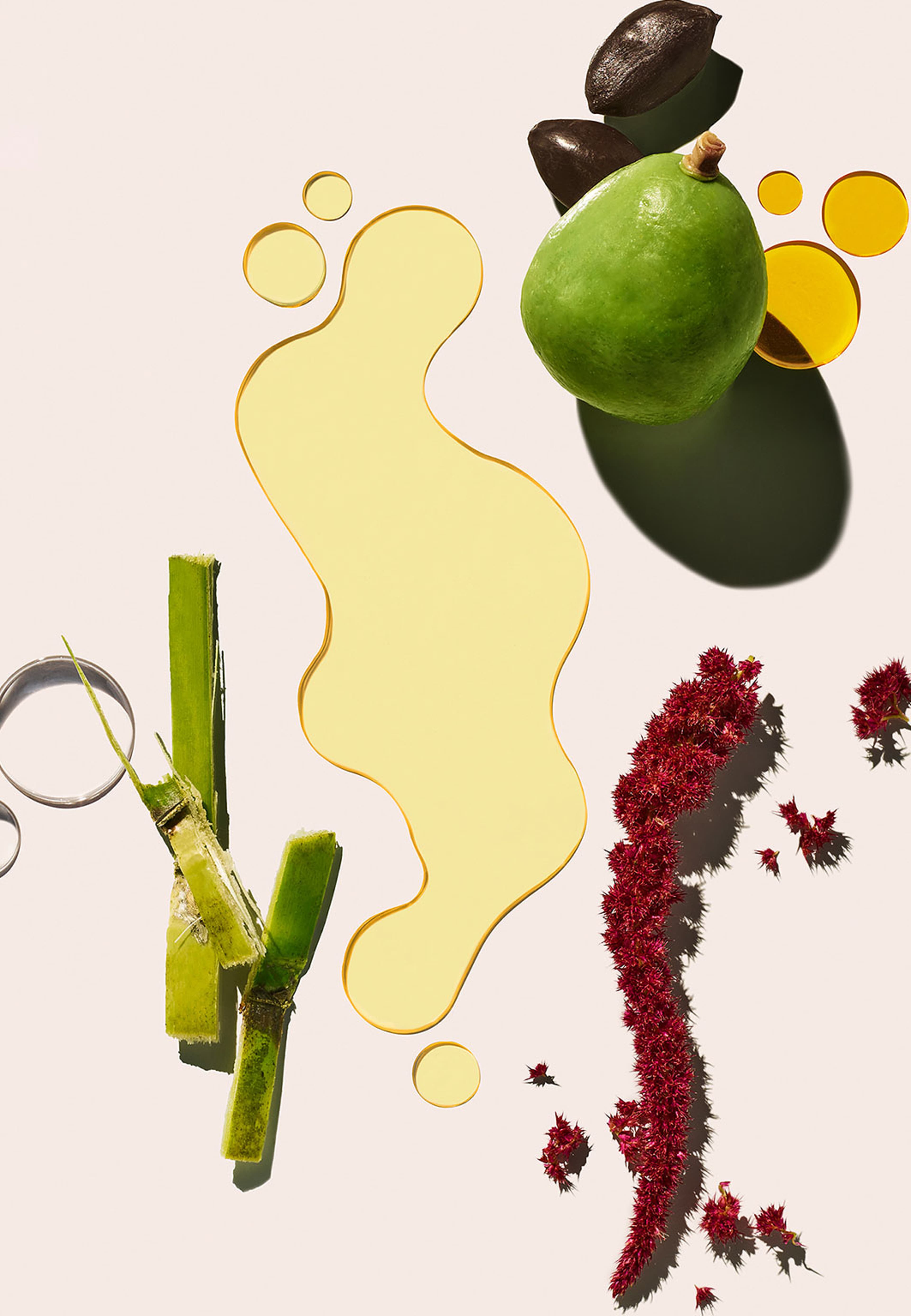 Beija Flor Elasti-Body Oil