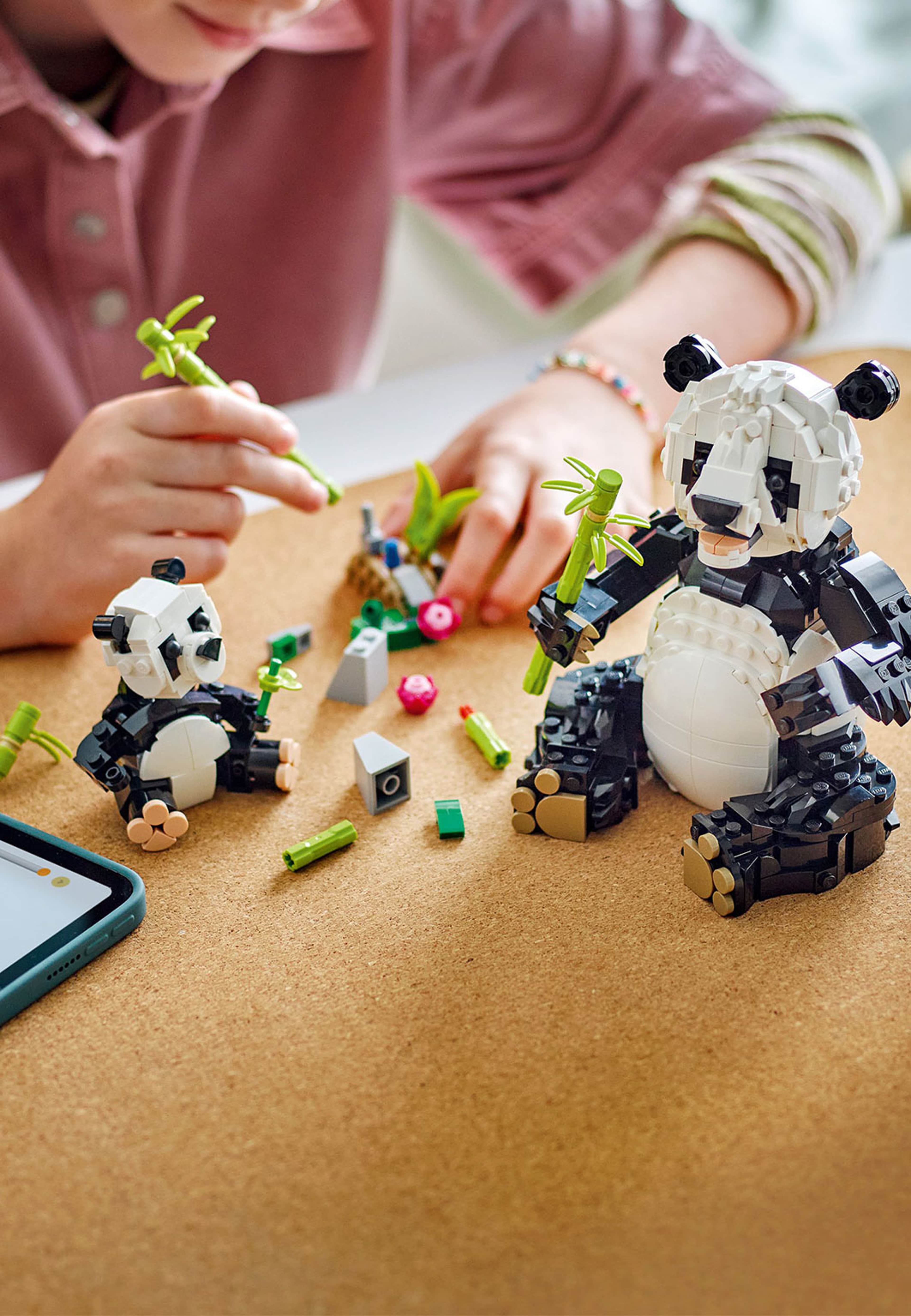 Vilda djur: pandafamilj