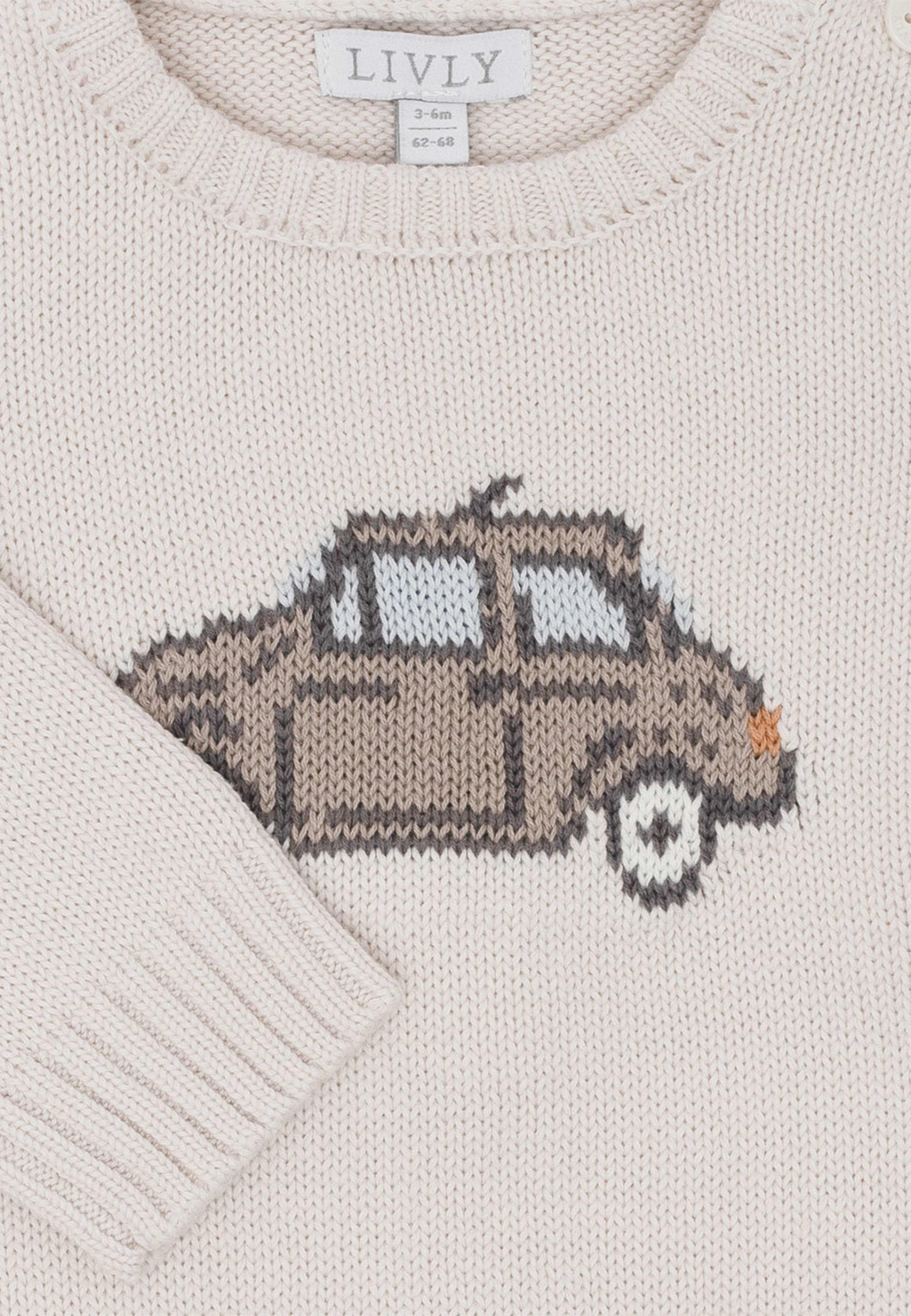 Levi Jumper
