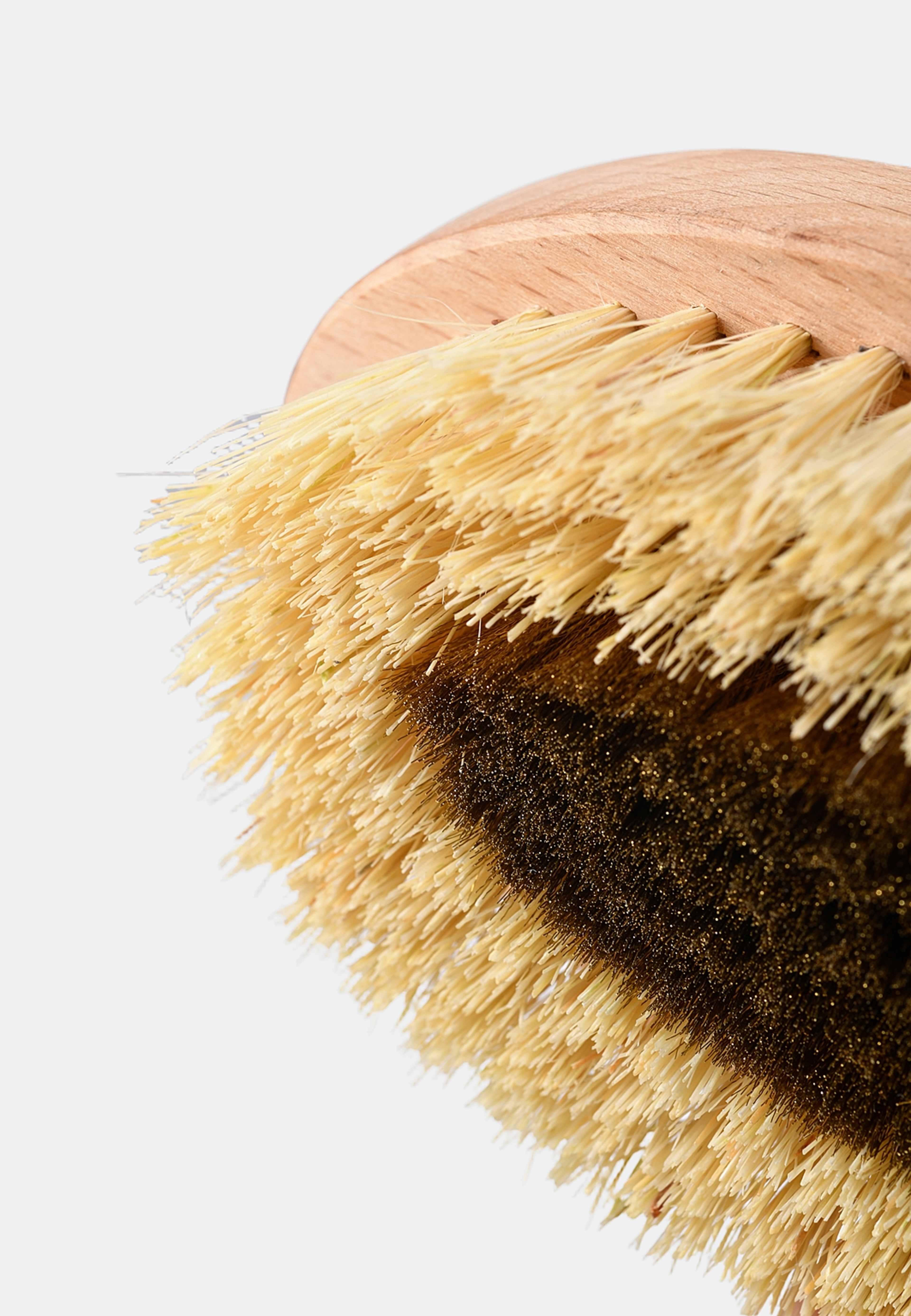 The Copper Dry Brush, från SOLÈNE. Klicka för att öppna bilden i stort format