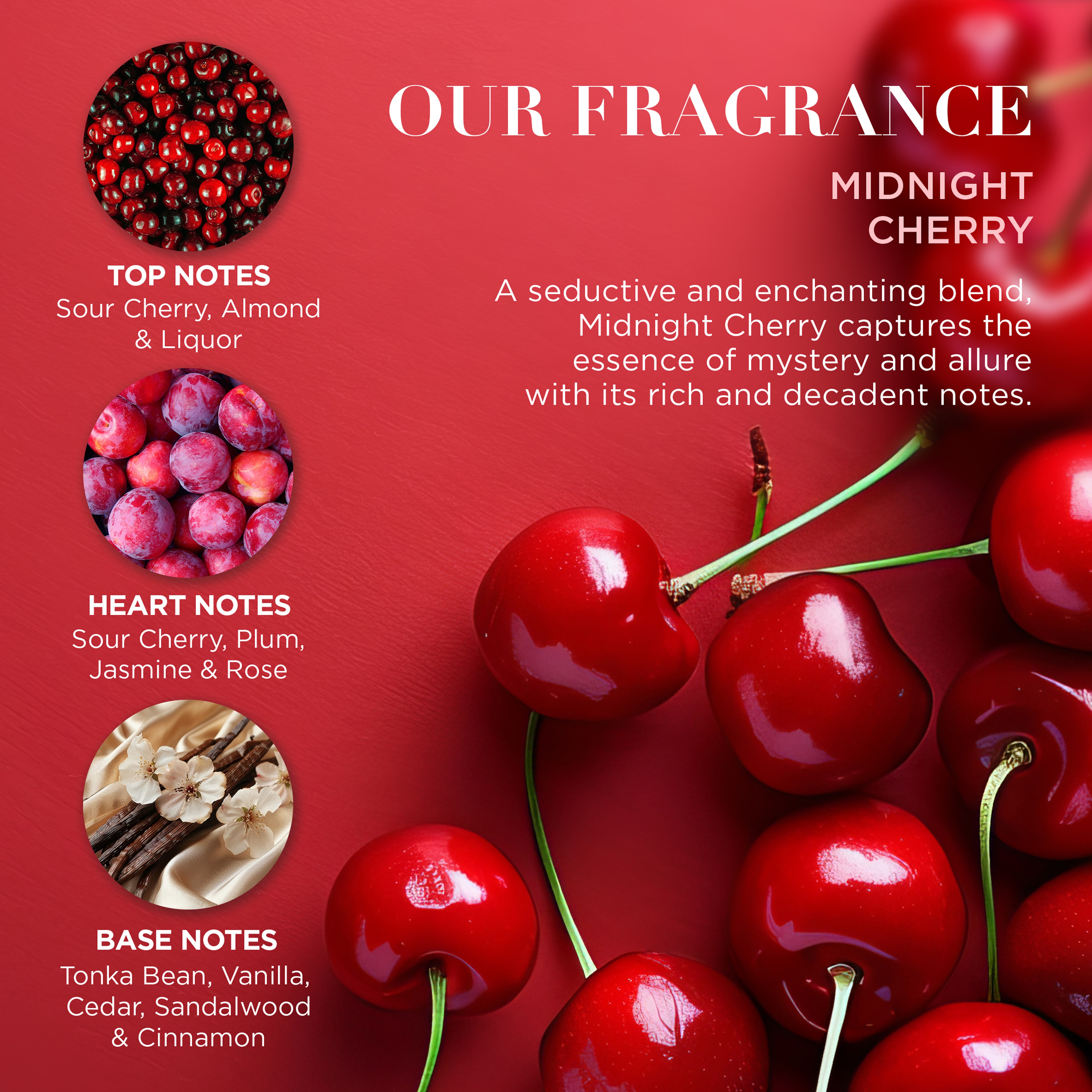 Midnight Cherry Hand Care Gift Set, från Baylis & Harding. Klicka för att öppna bilden i stort format