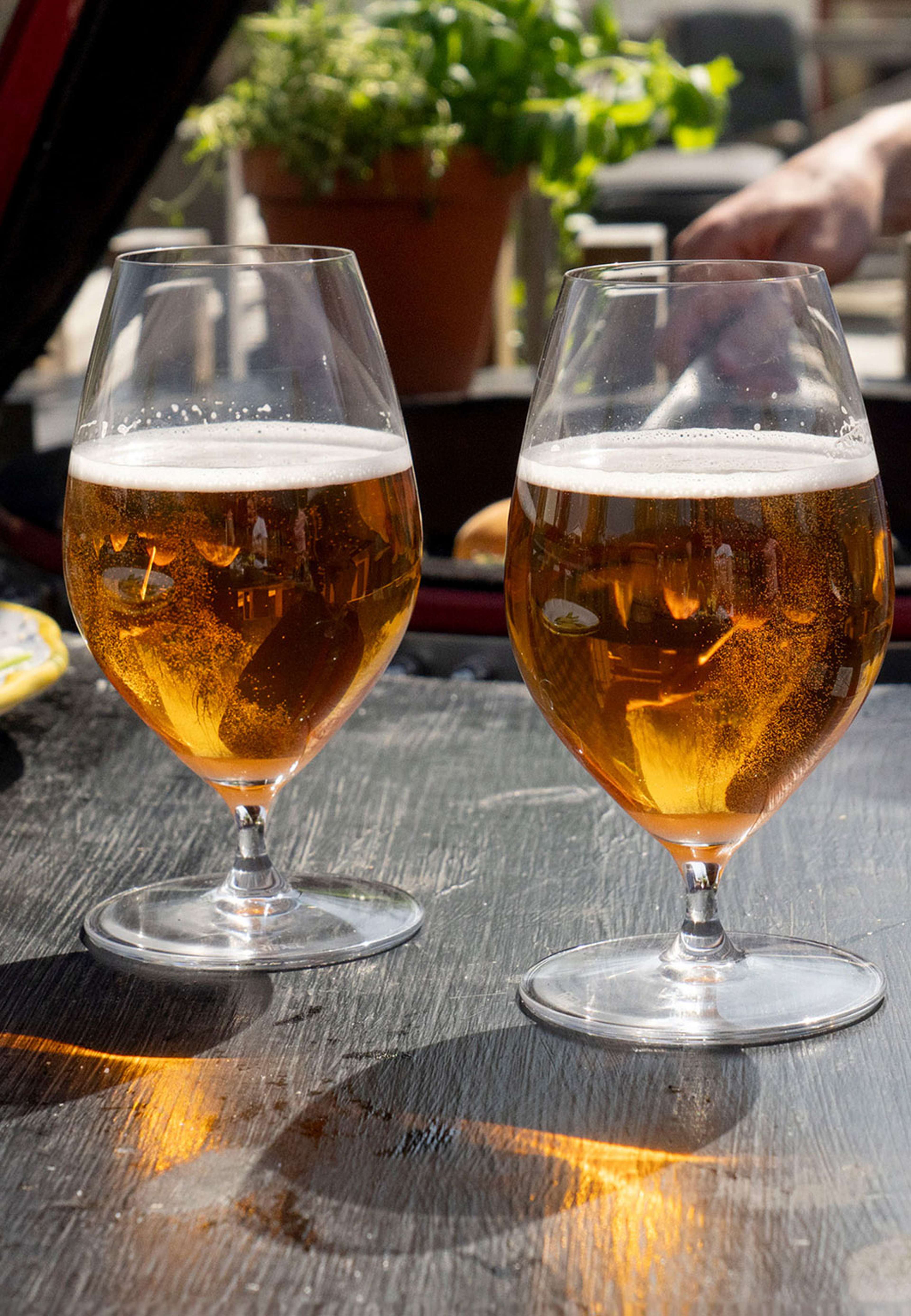 Beer, 2-pack, från Riedel, i färgen Transparent. Klicka för att öppna bilden i stort format