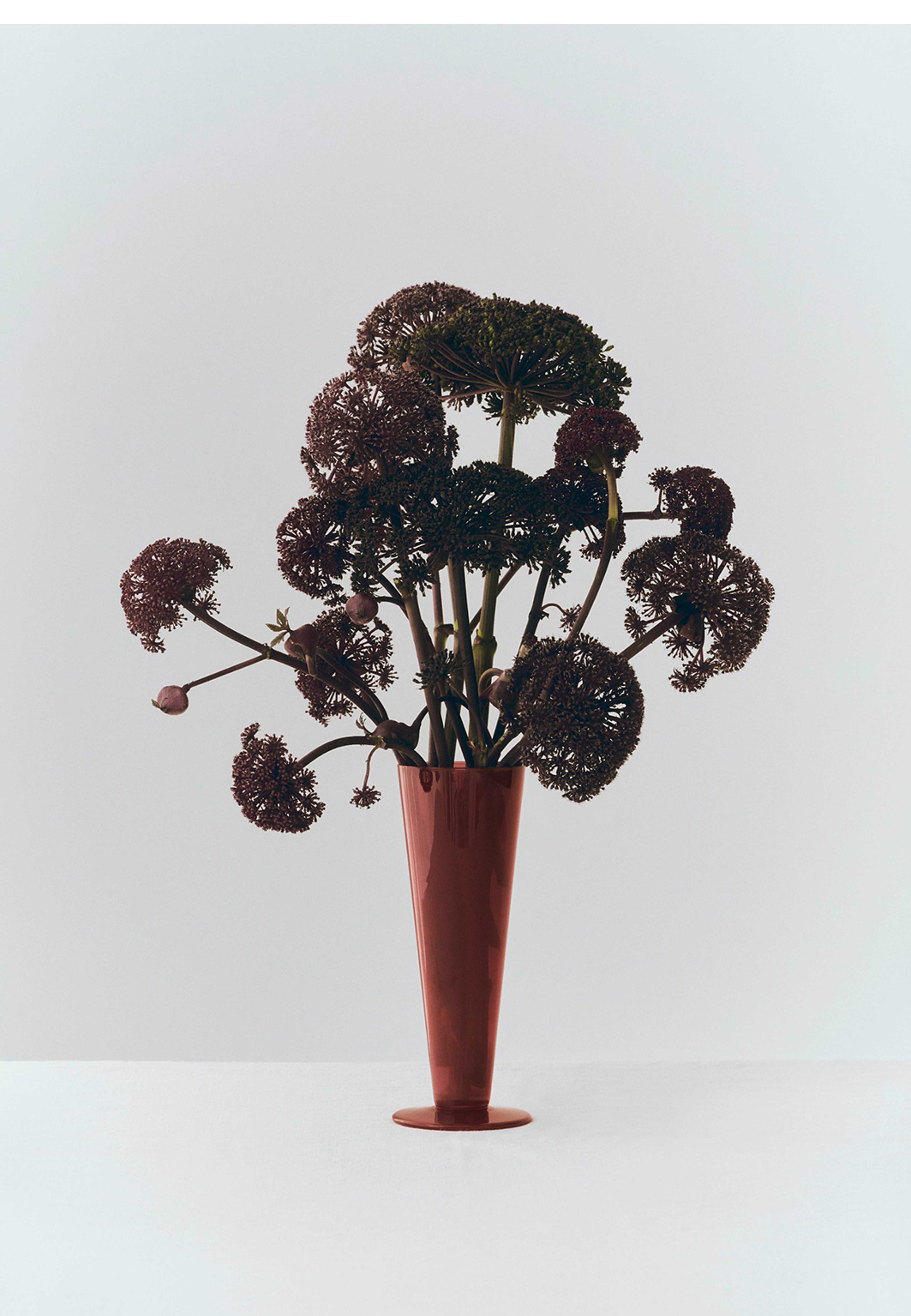Conical Vase Medium, från HAY, i färgen Rose And Dark Red. Klicka för att öppna bilden i stort format