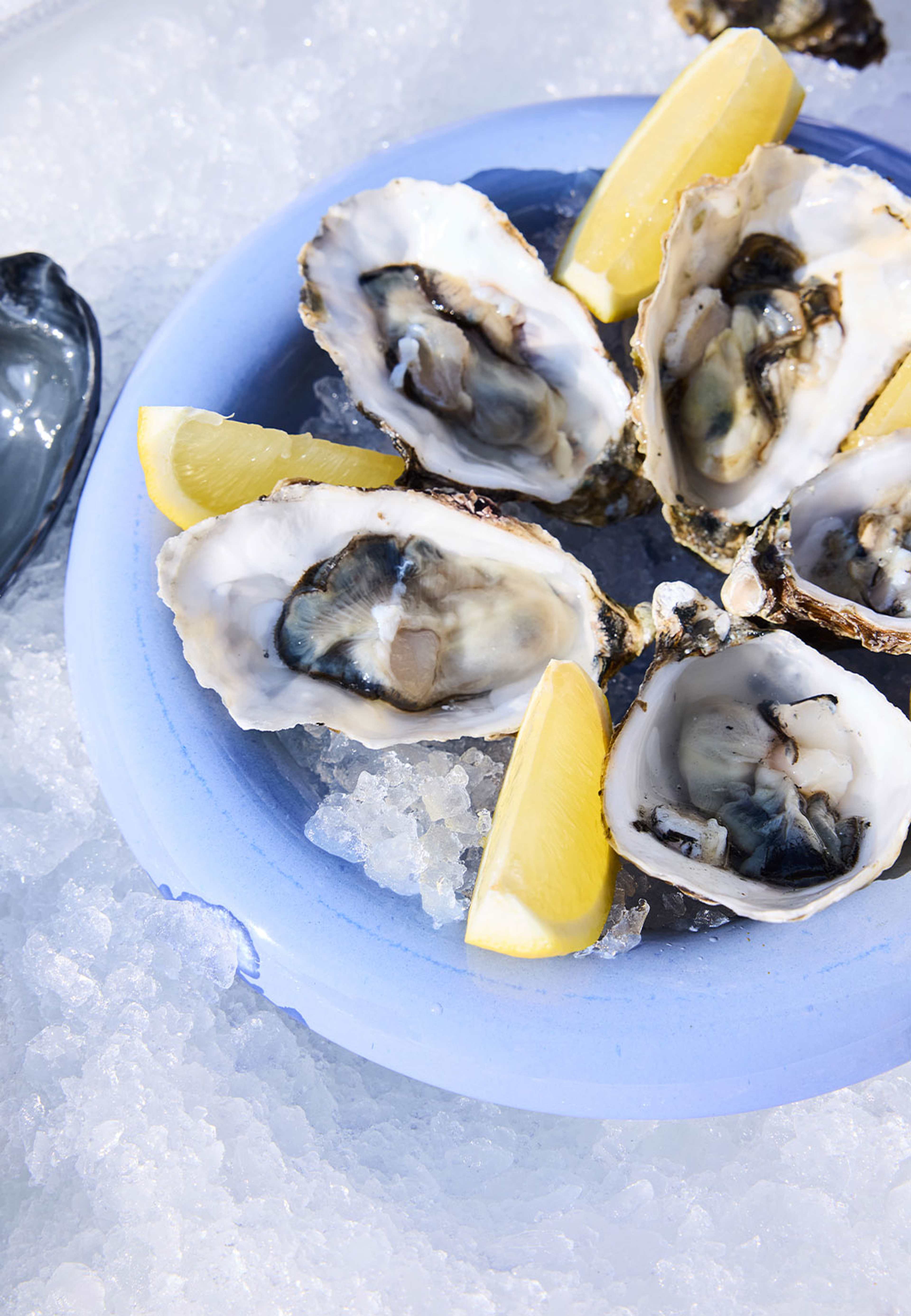 Djup tallrik Porto, från Byon, i färgen Ljusblå. Klicka för att öppna bilden i stort format