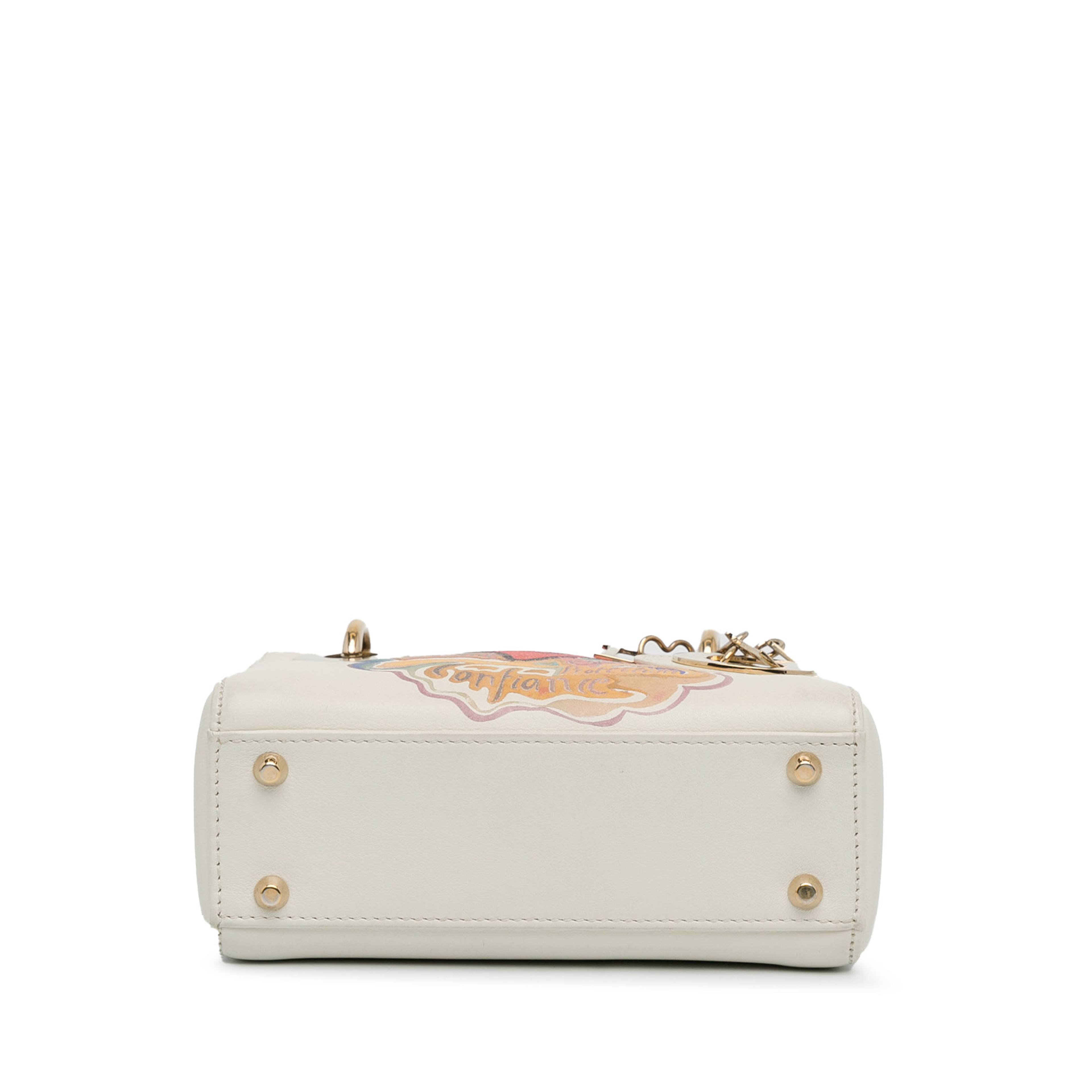 Dior X Niki De Saint Phalle Dioramour Mini Lady Dior