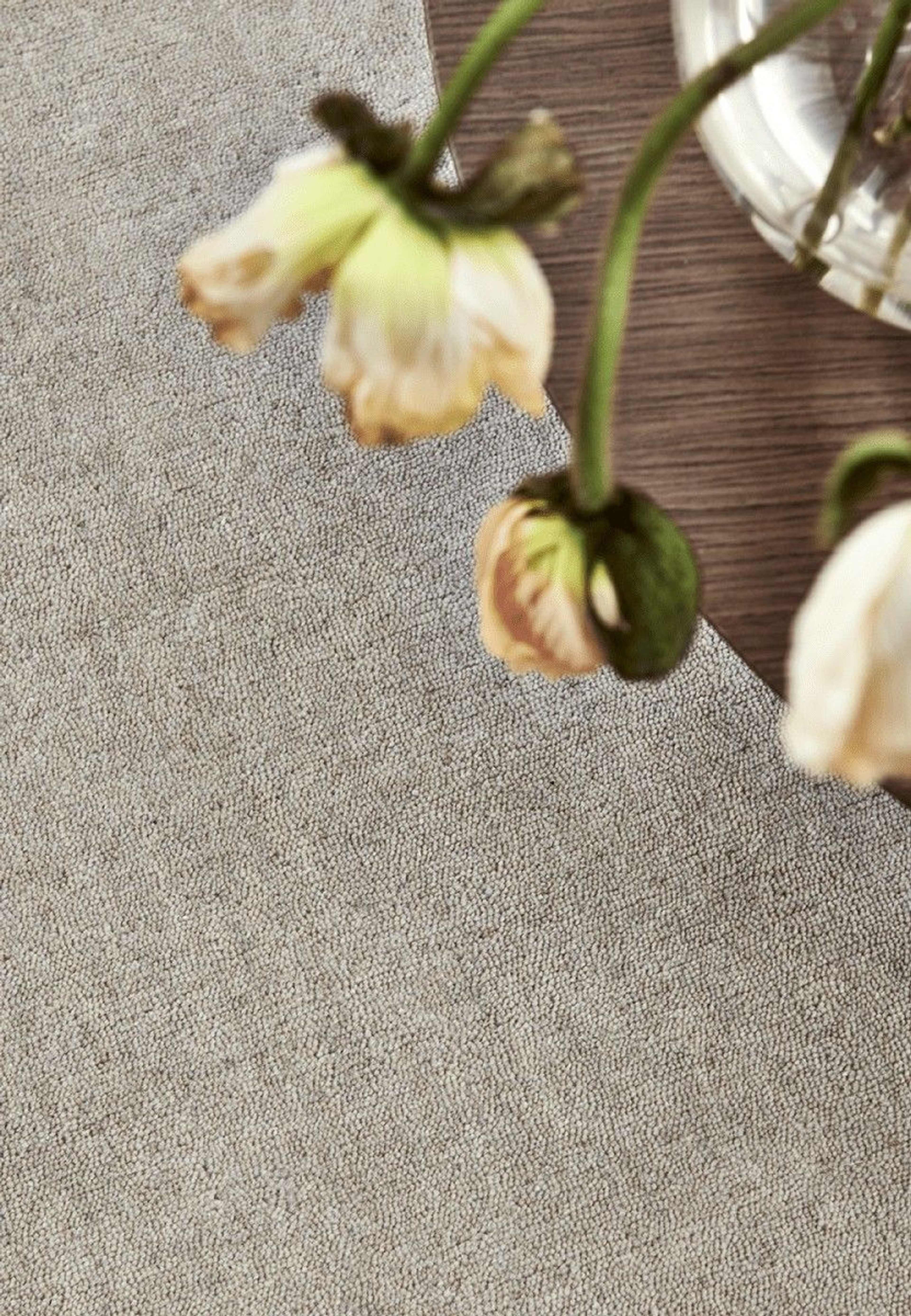 Ullmatta Solid 250x350cm, från Classic Collection, i färgen beige. Klicka för att öppna bilden i stort format