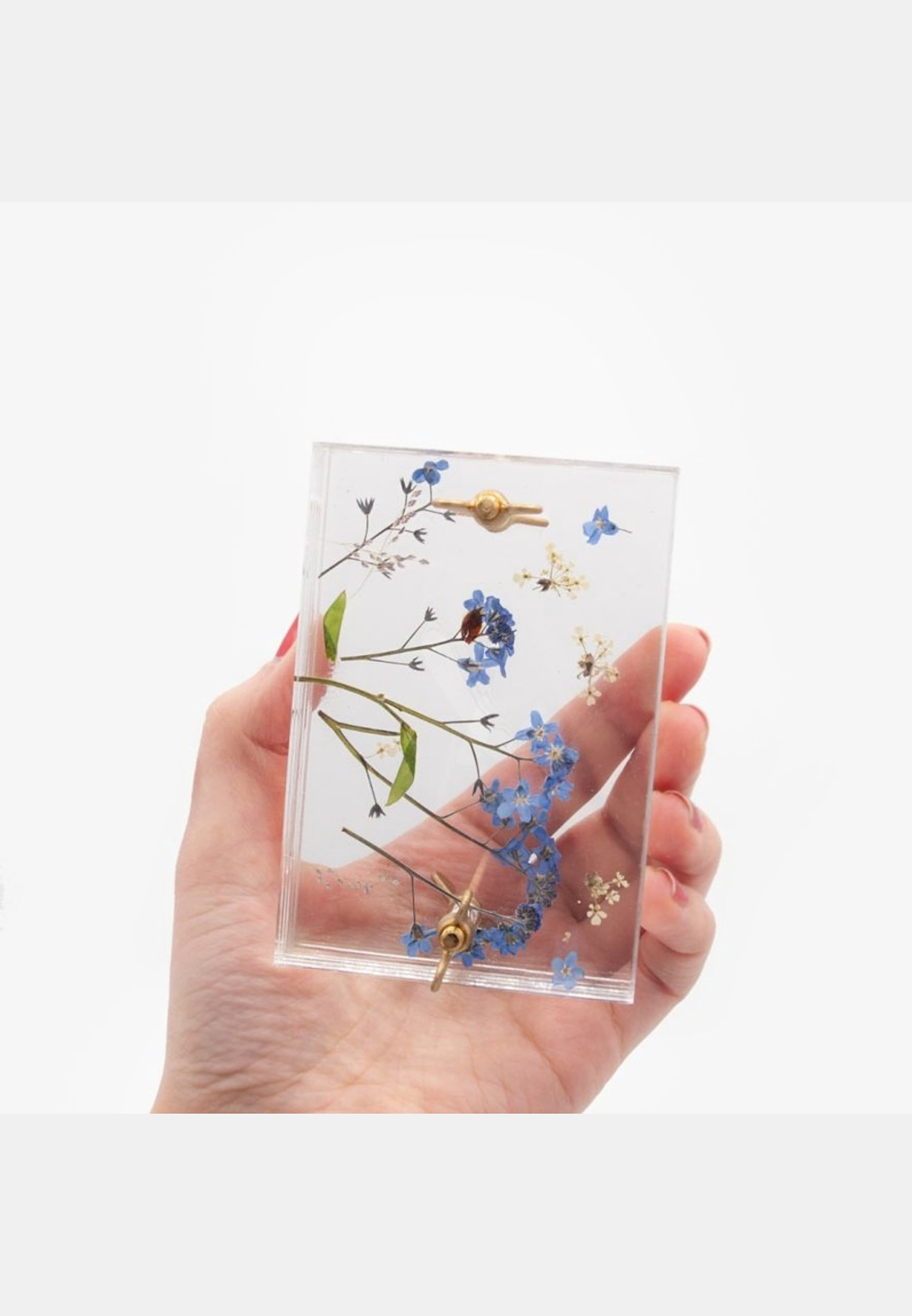 Blompress Ängsfälla Liten, från Ängsfällan, i färgen transparent. Klicka för att öppna bilden i stort format