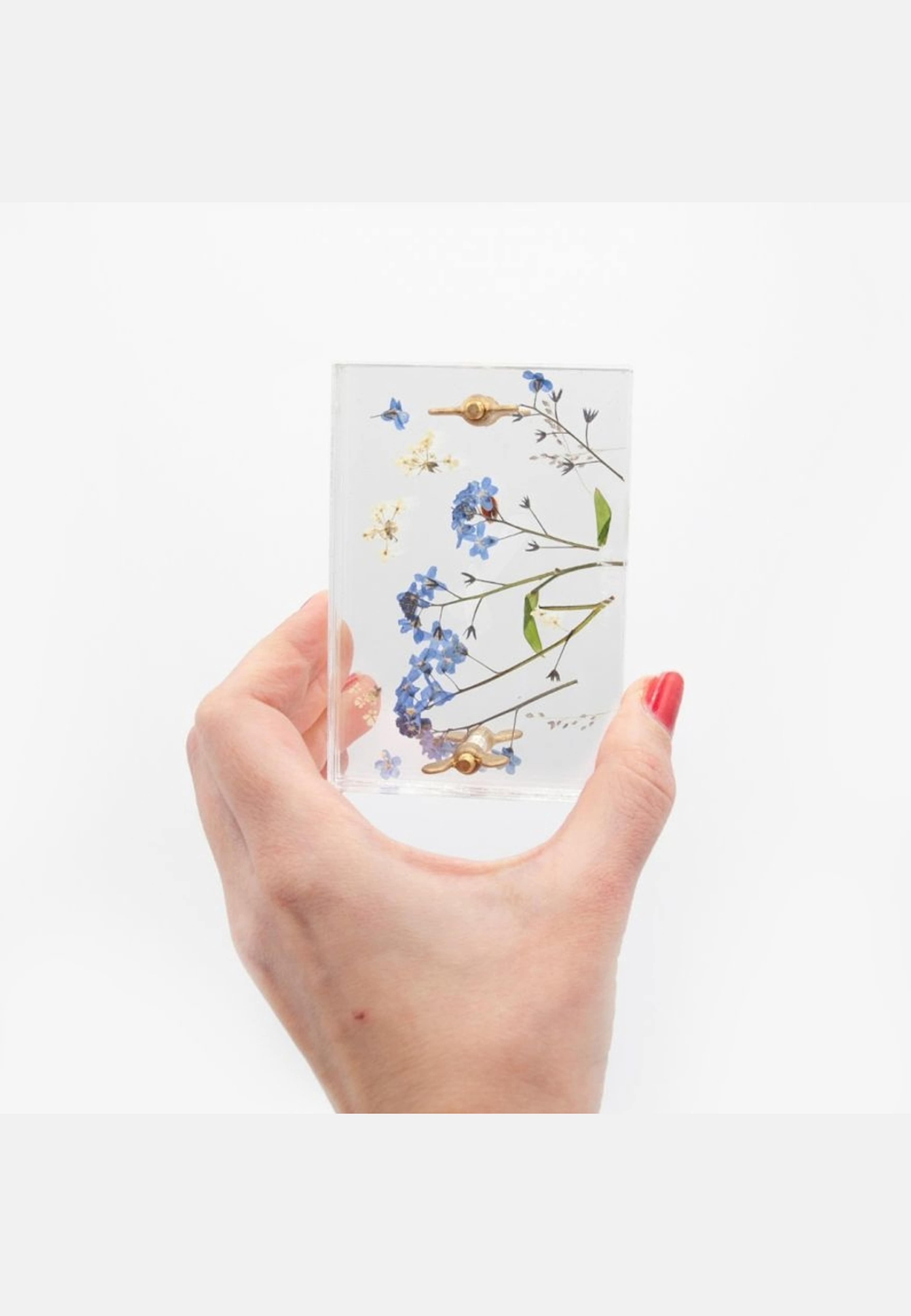 Blompress Ängsfälla Liten, från Ängsfällan, i färgen transparent. Klicka för att öppna bilden i stort format