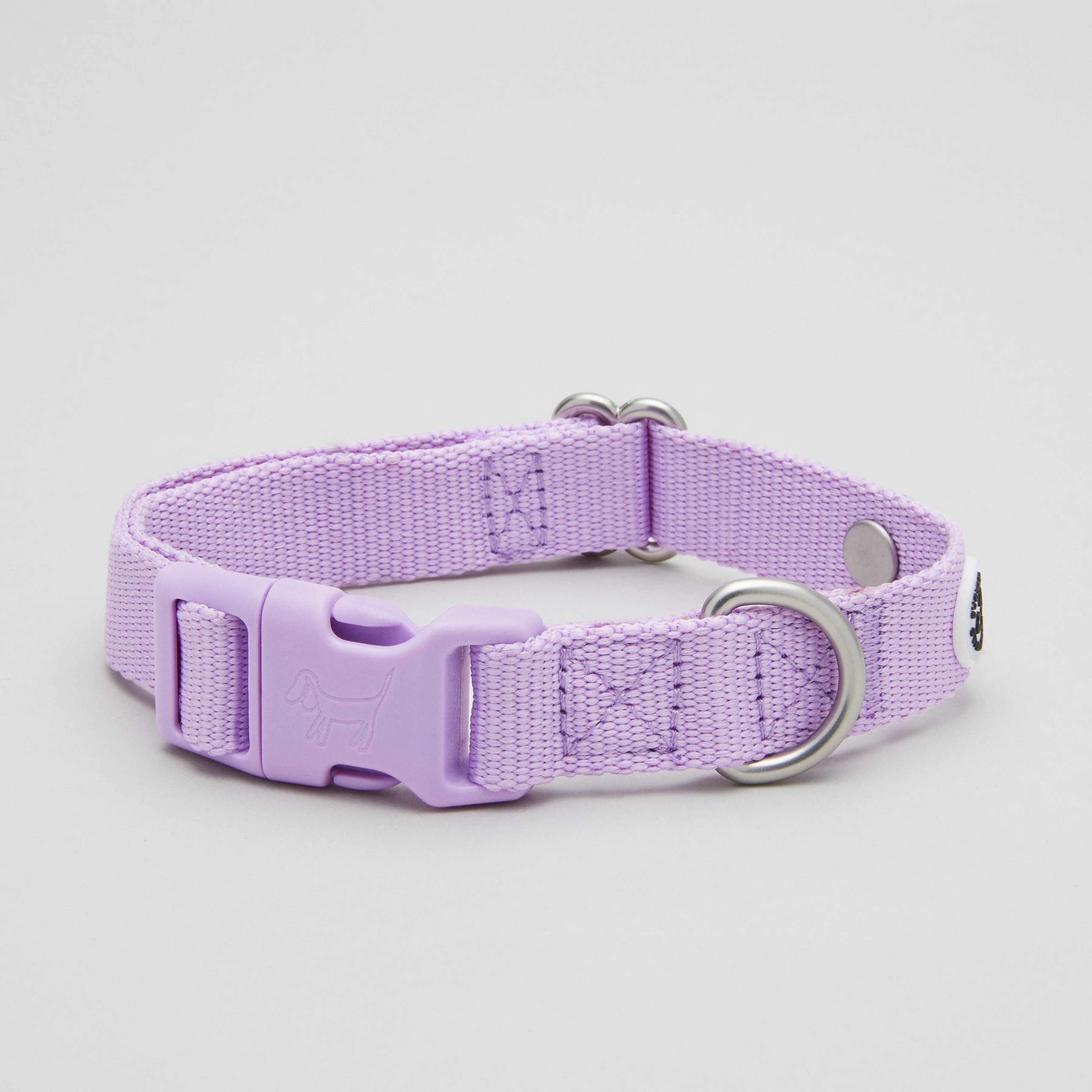 Lilac Dog Collar Walk Kit - L