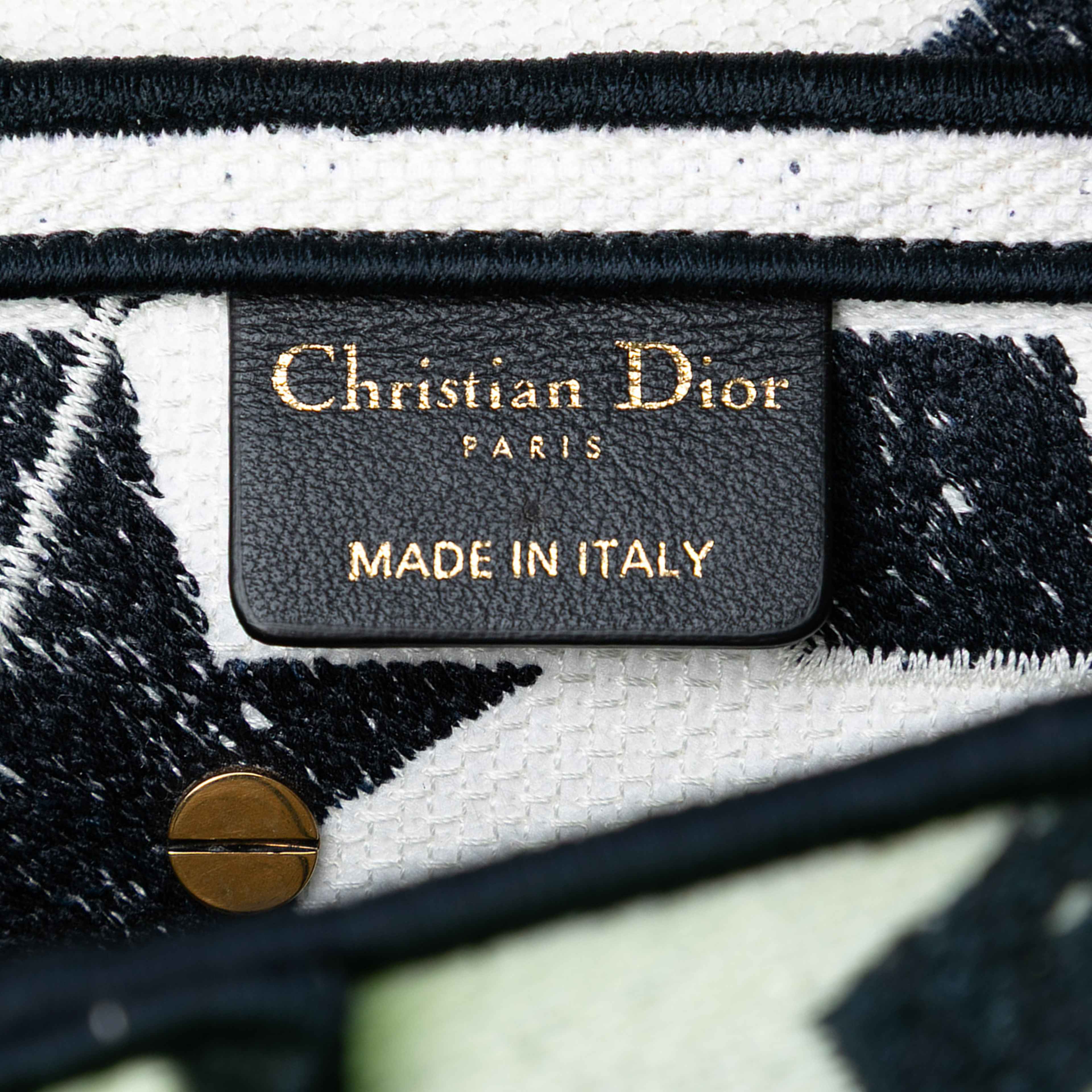 Dior Embroidered Canvas Stars Saddle Bag, från Luxclusif, i färgen white. Klicka för att öppna bilden i stort format