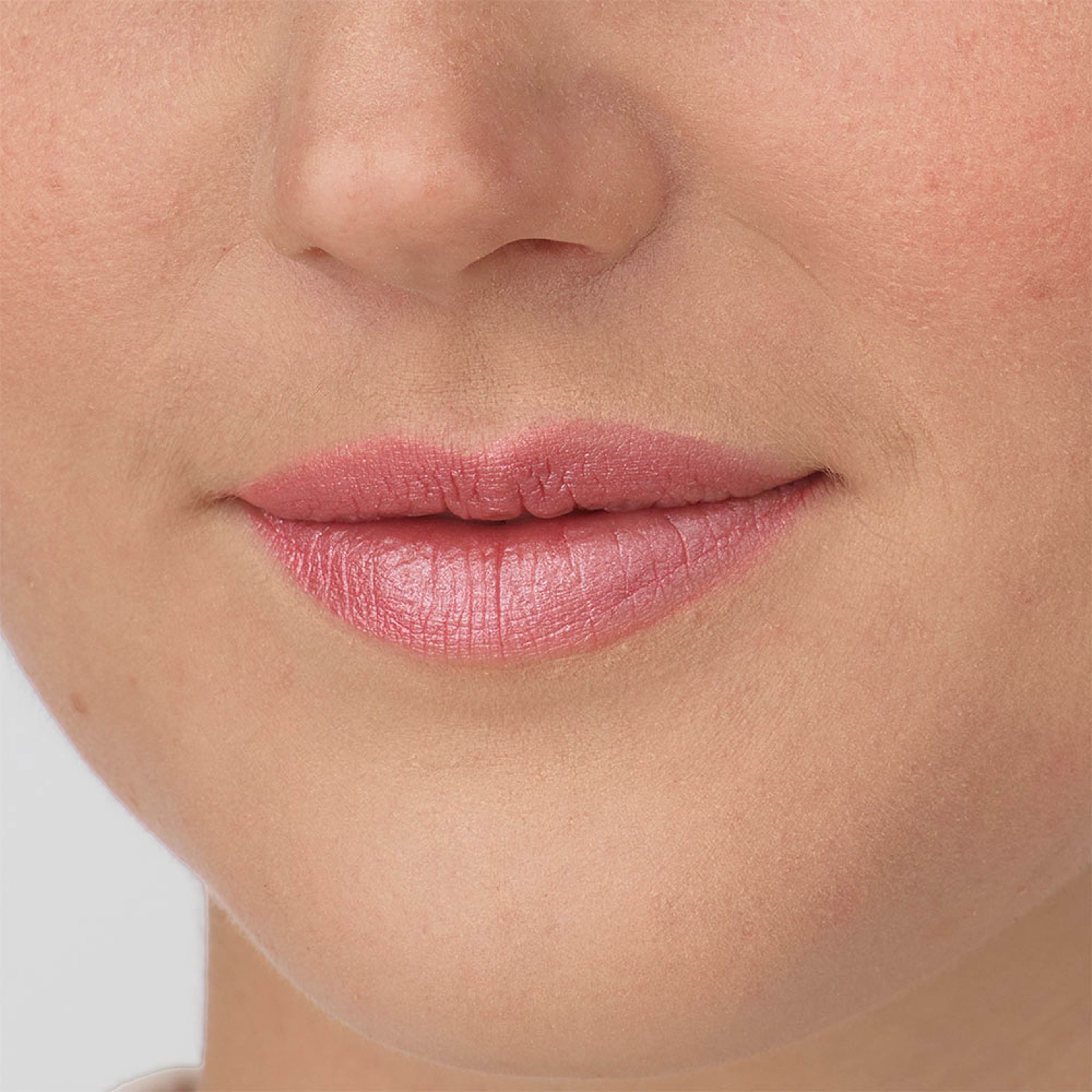 Perfect Moisture Lipstick