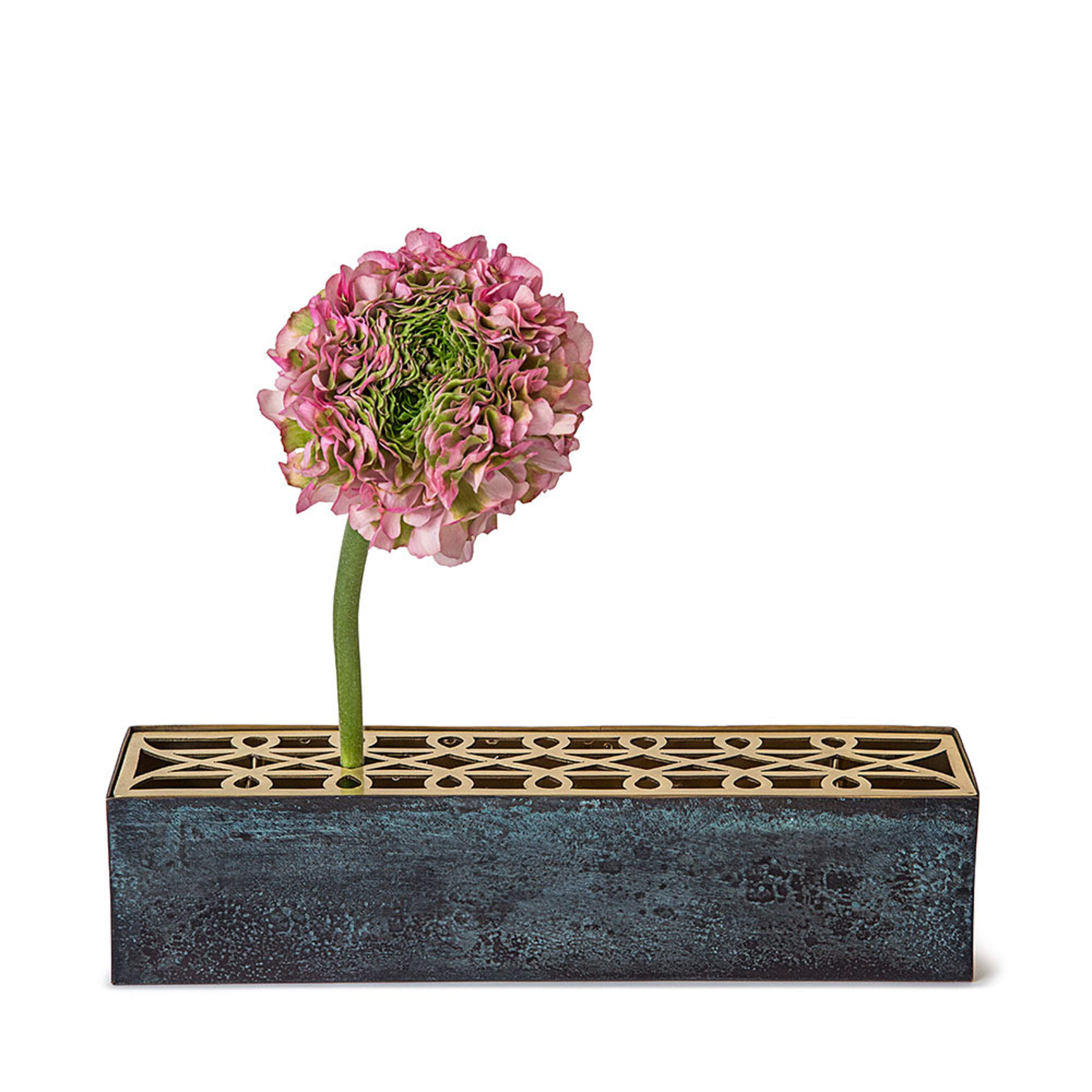 Äng Rectangular, från Klong. Klicka för att öppna bilden i stort format