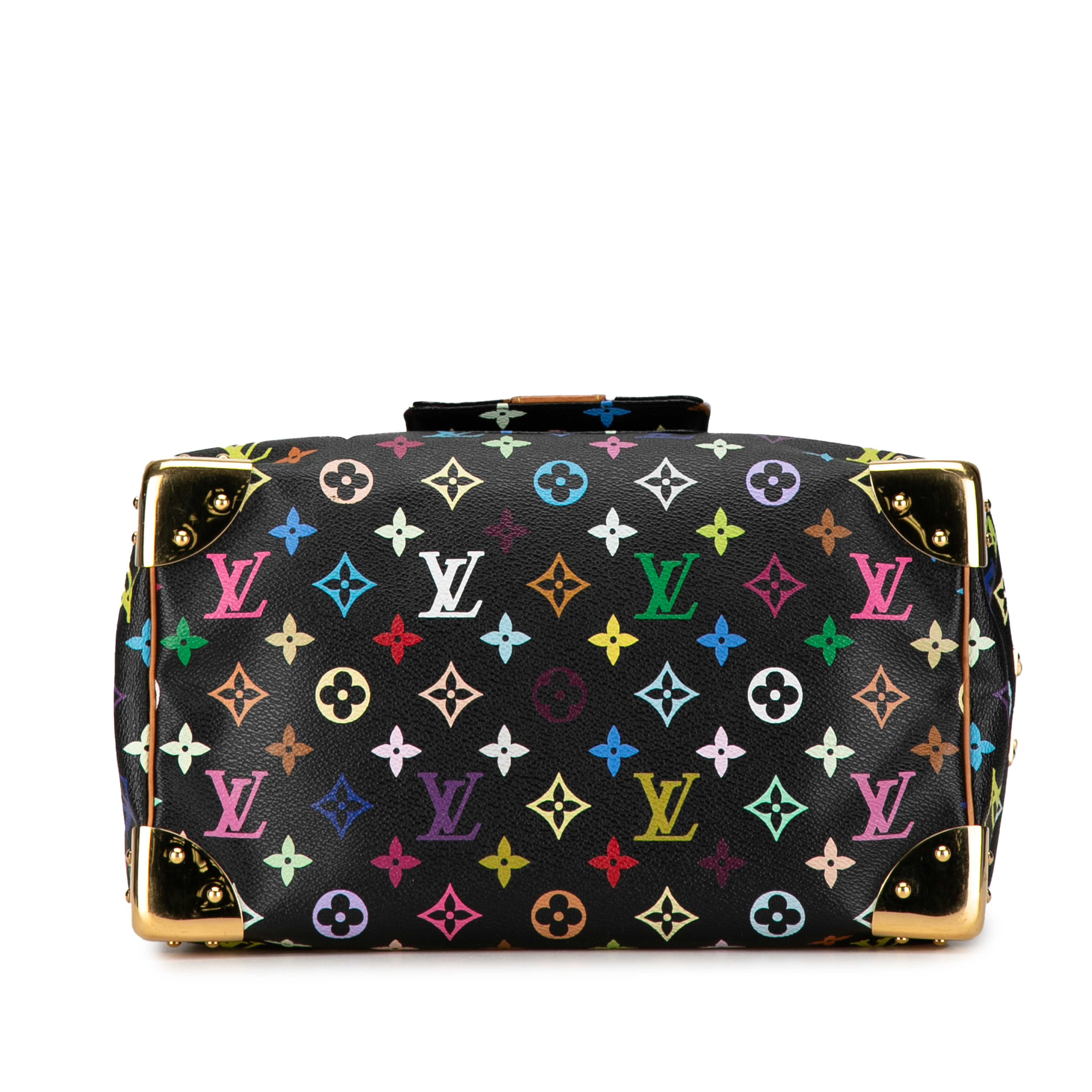 Louis Vuitton Monogram Multicolore Speedy 30