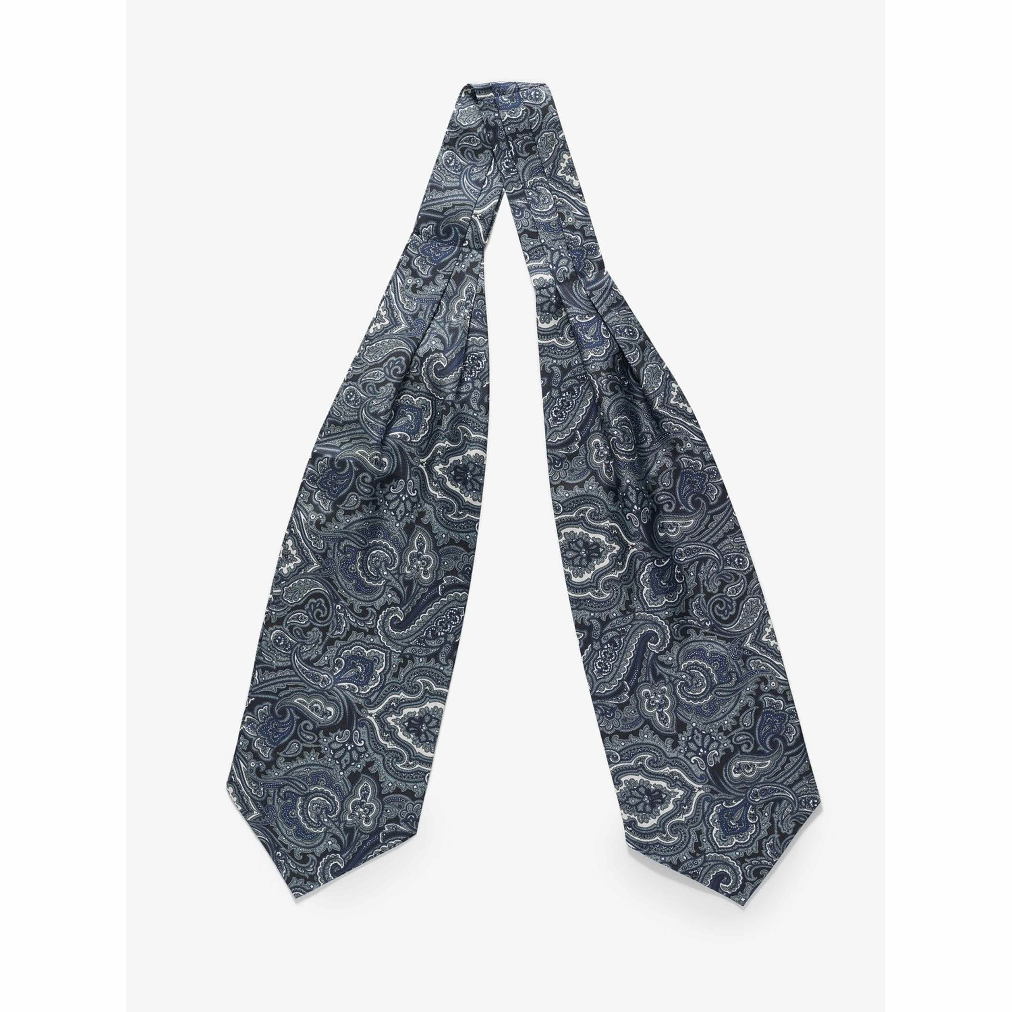 Silk Double Pointed Ascot Paisley
