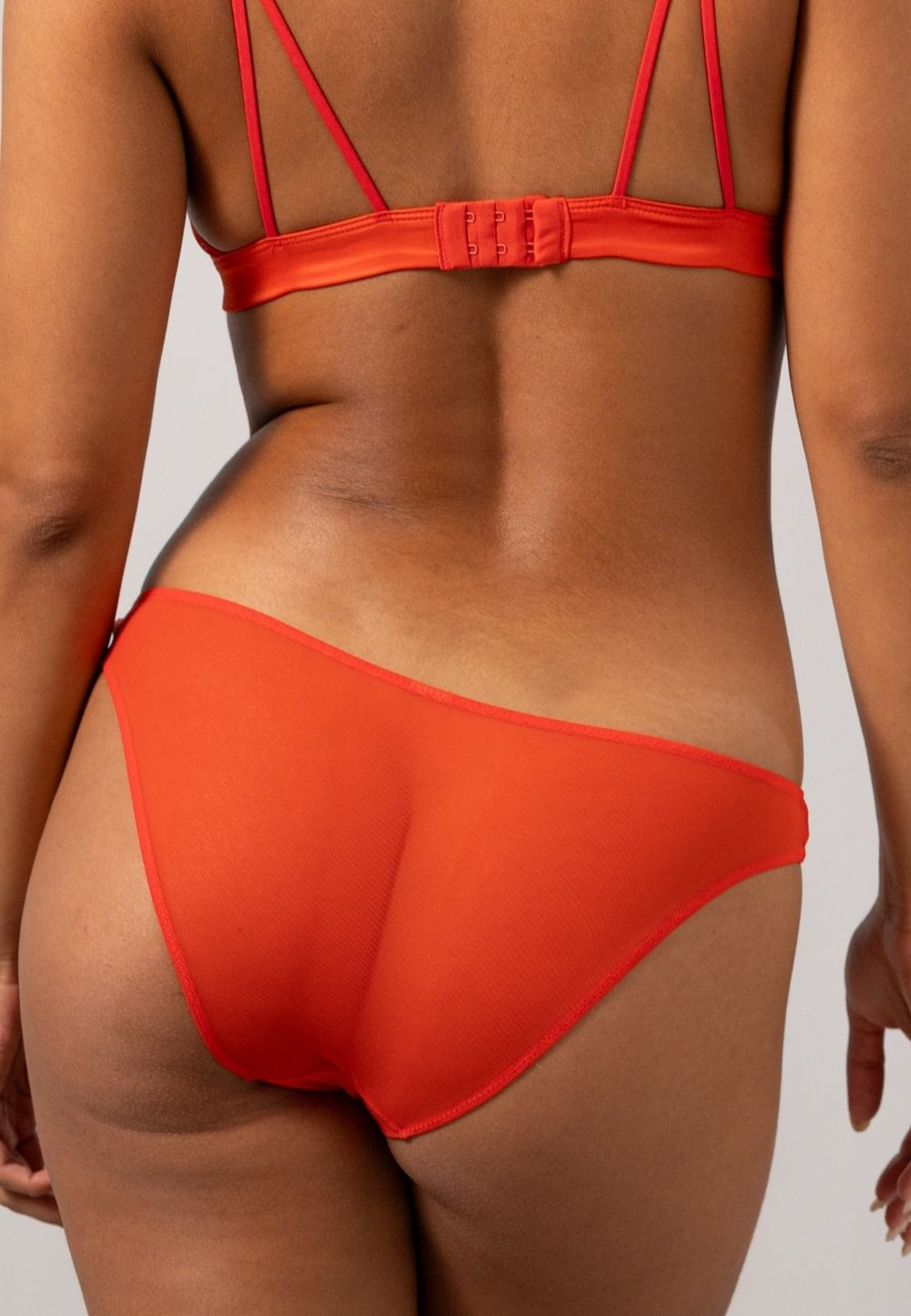 Mesh Bikini Briefs
