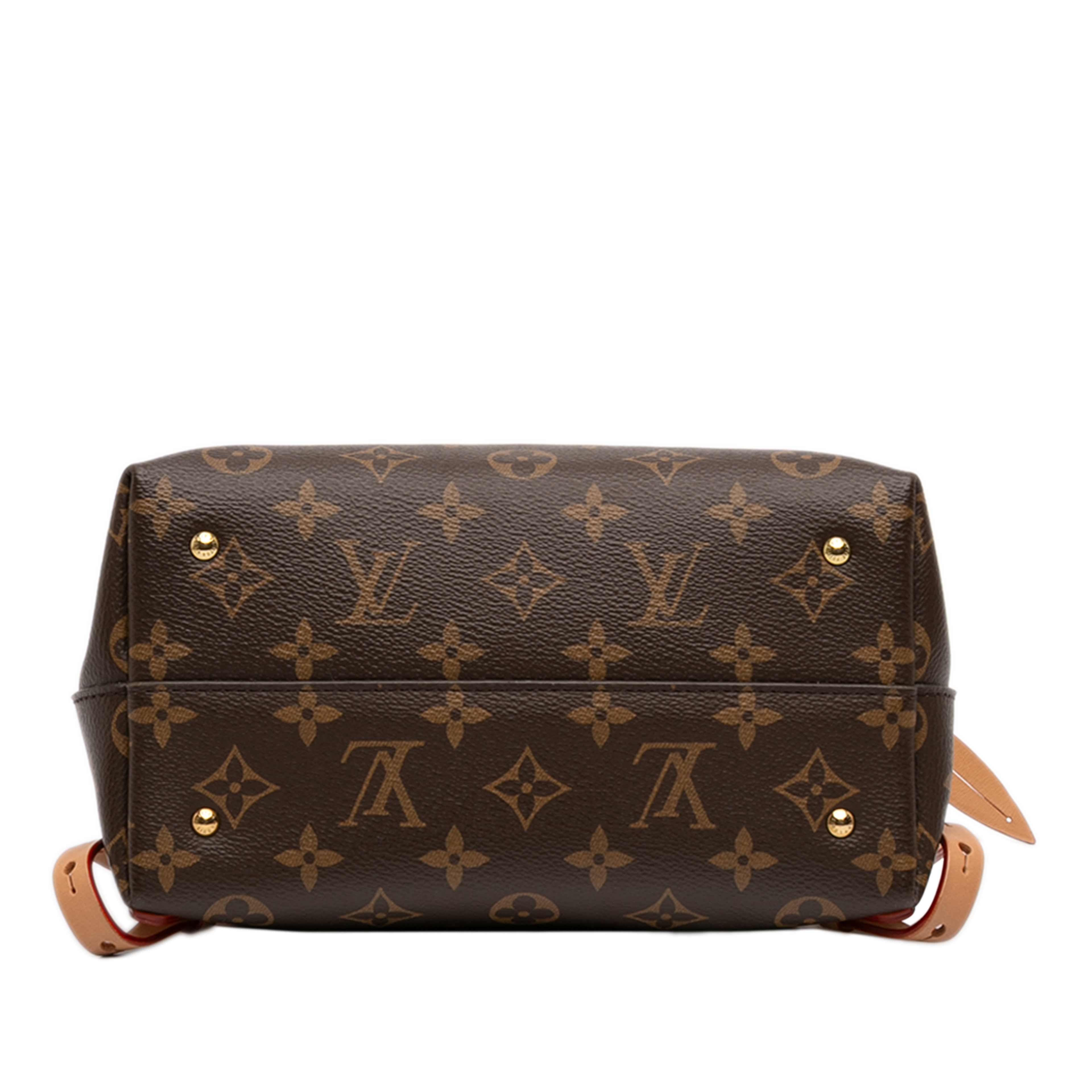 Louis Vuitton Monogram Moon Backpack, från Luxclusif, i färgen brun. Klicka för att öppna bilden i stort format