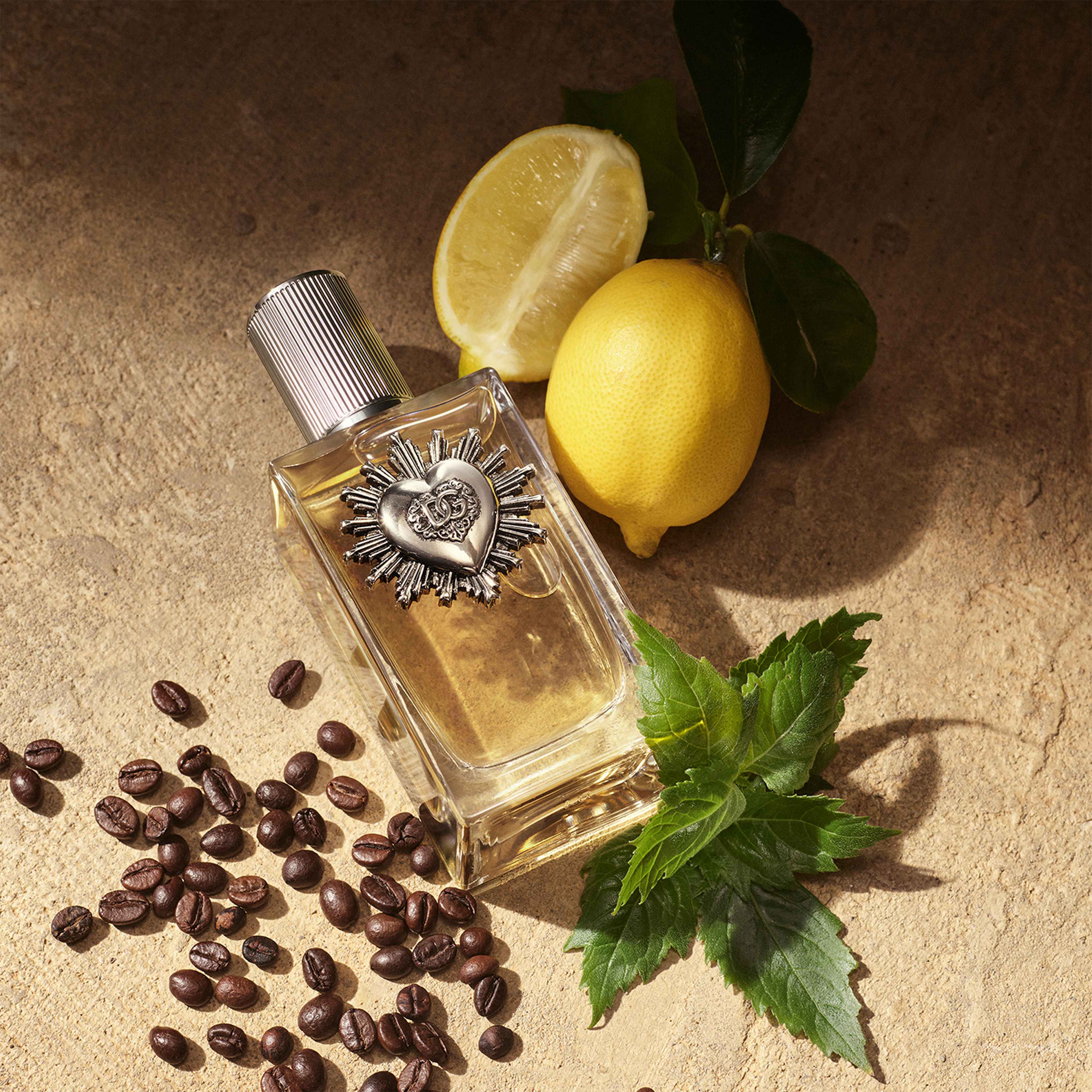 Devotion Pour Homme EdP