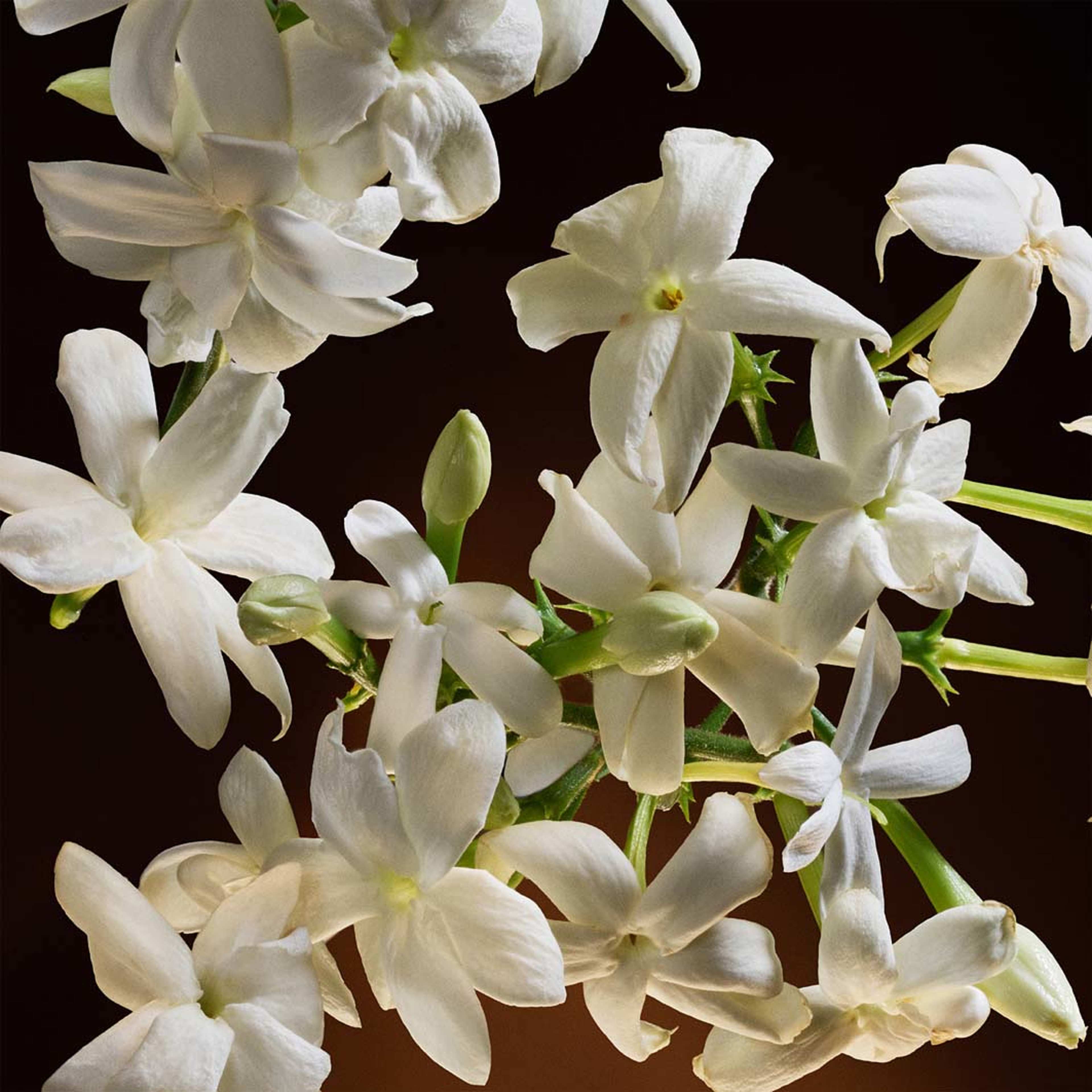 The One EdP Intense, från Dolce & Gabbana. Klicka för att öppna bilden i stort format